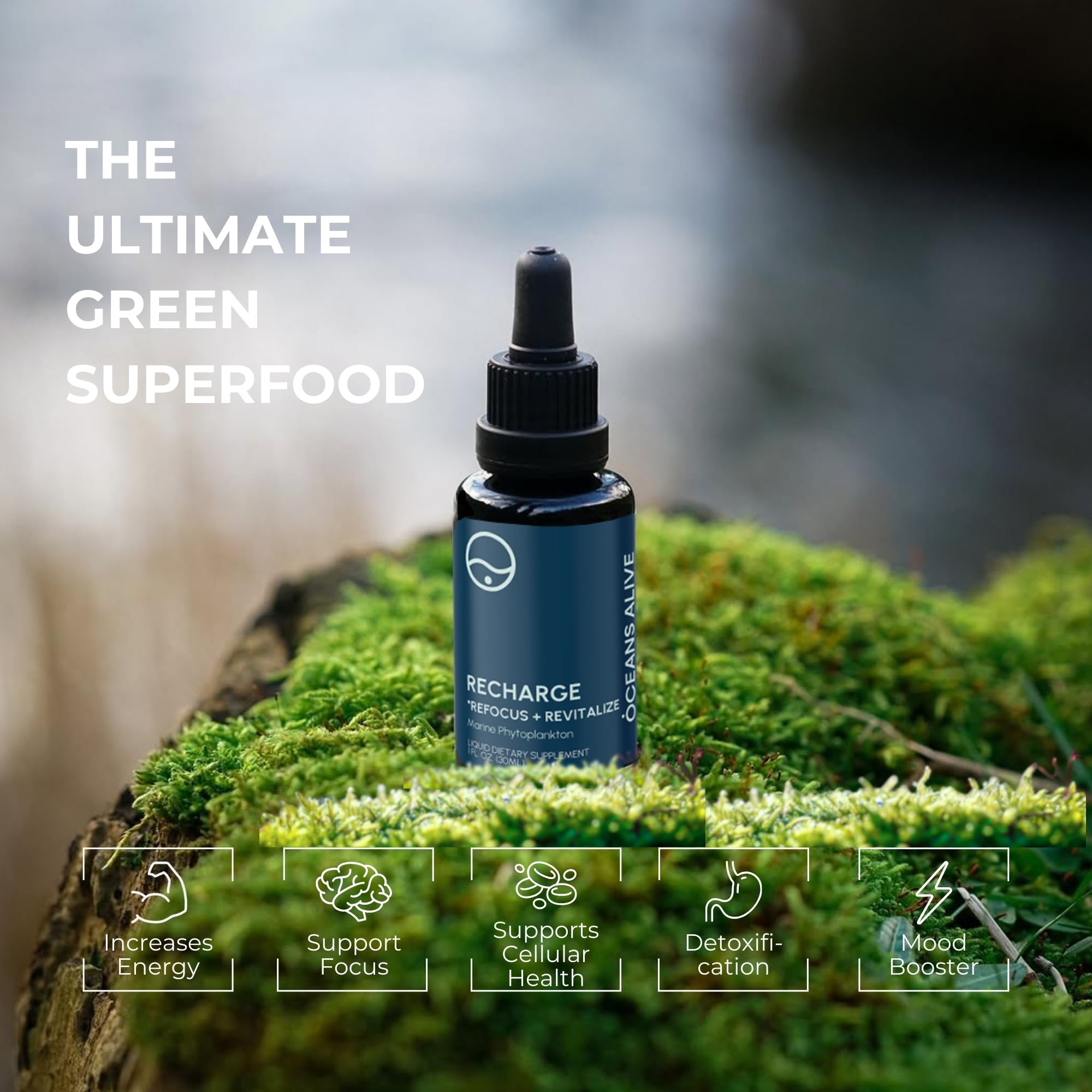 Activation Products Oceans Alive Marine Phytoplankton - Pure Marine Phytoplankton Supplement Drops, Superfood with Antioxidants, Essential Fatty Acids, and Amino Acids, No Contaminants (30 ml)