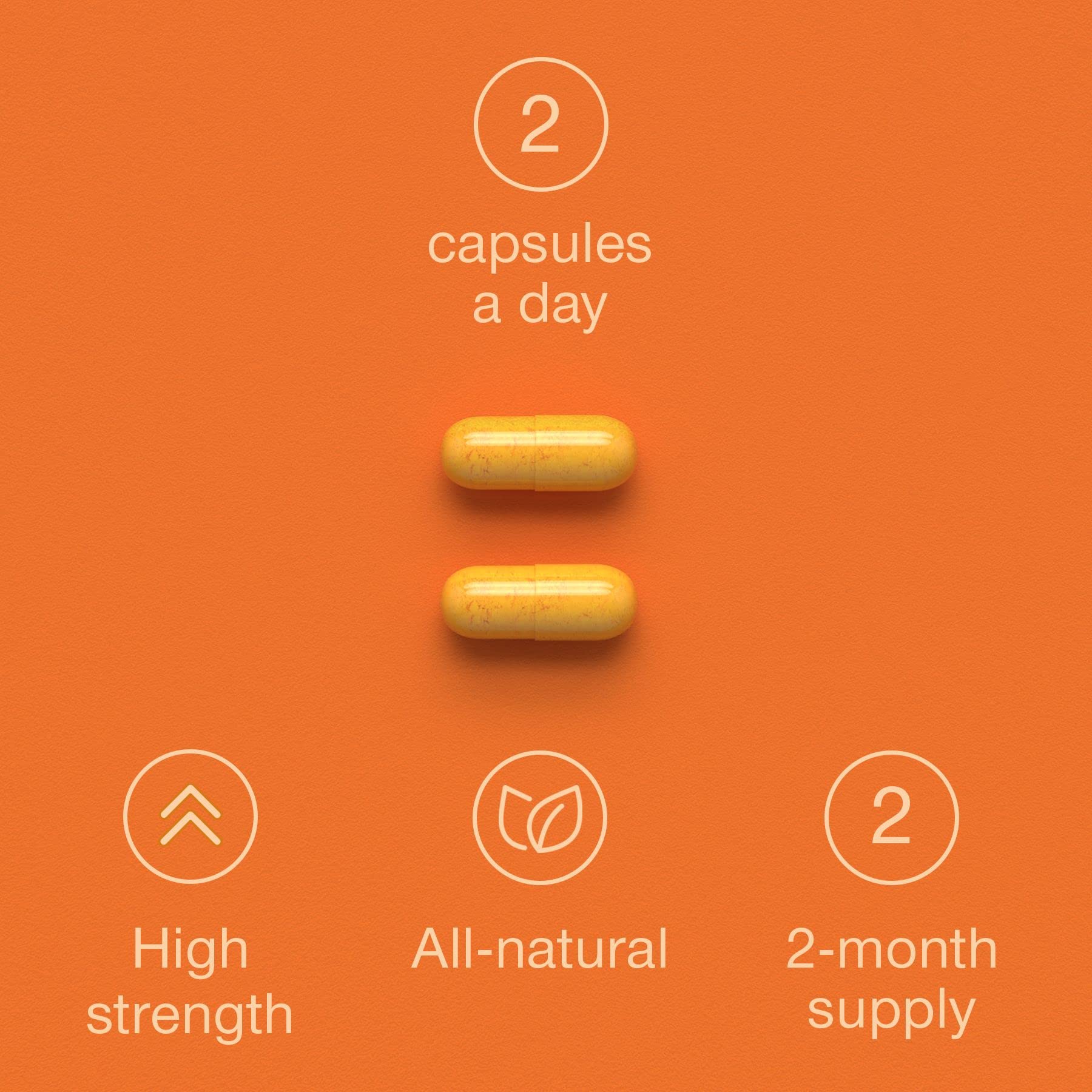 Immune System Booster - 120 Capsules - Immune Support & Recovery Complex