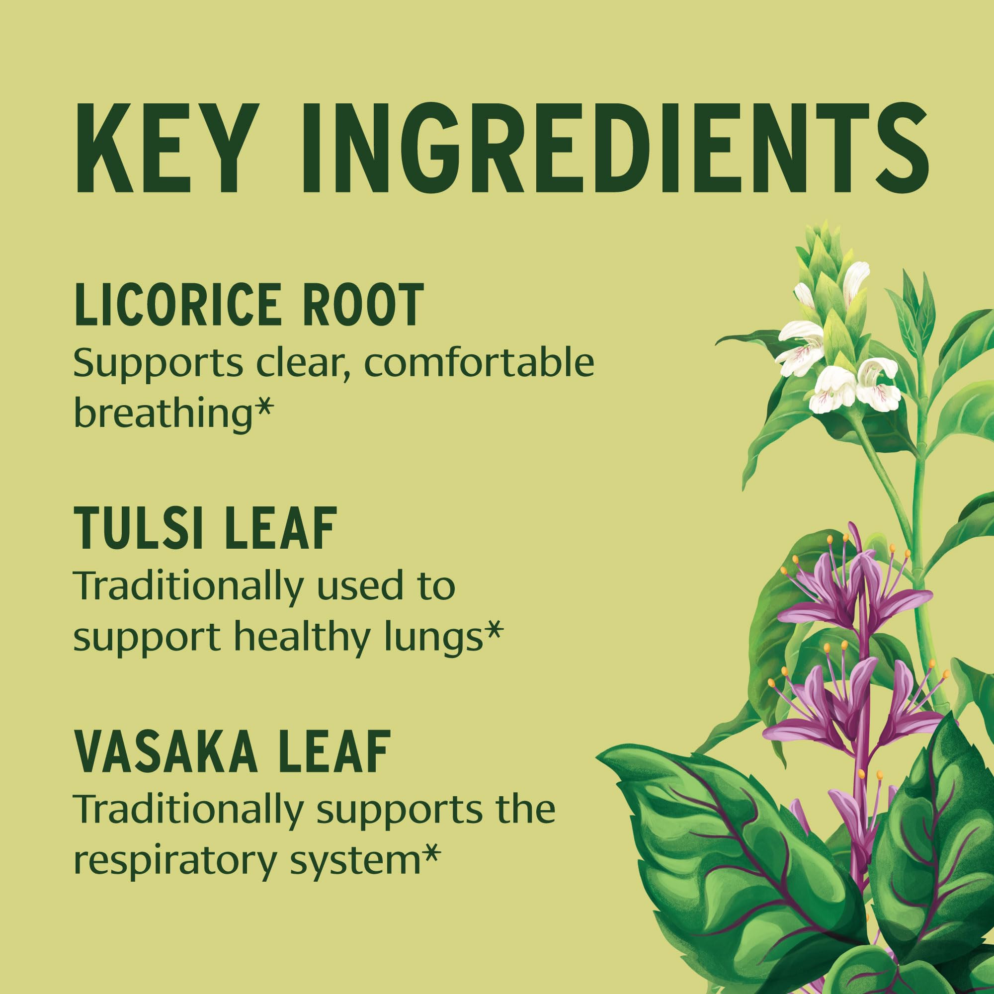 Banyan Botanicals Lung Formula – Organic Respiratory Support for Lung Health – Plant-Based Blend with Licorice, Tulsi Leaf, and Other Lung Health Herbs – 90 Tablets – Non GMO Fair for Life Vegan