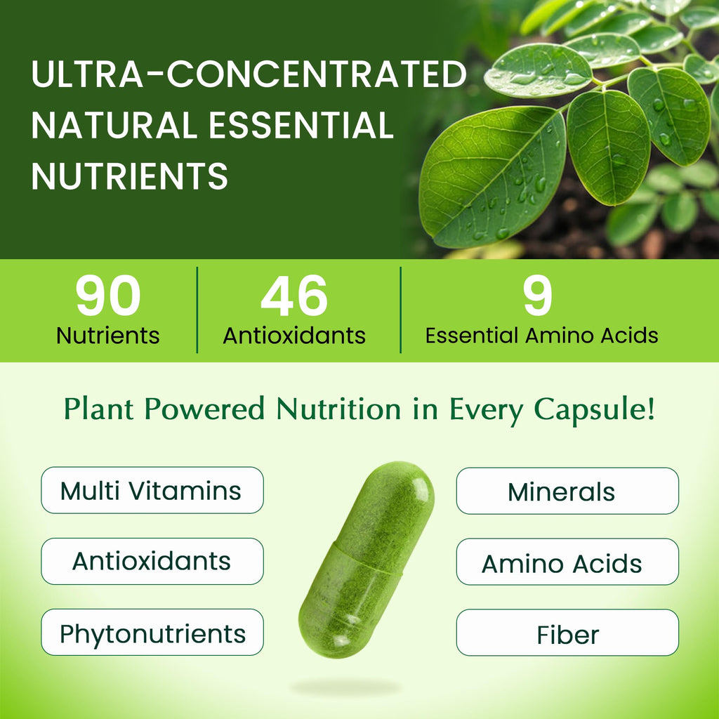 Organic Veda Moringa Capsule 1000mg, 6 Months Supply - True Green Pure Organic Moringa Leaf Superfood - Vitamins & Antioxidants Rich Powder, Energy, Digestion, Brain & Skin Health - 360 Vegan Capsule