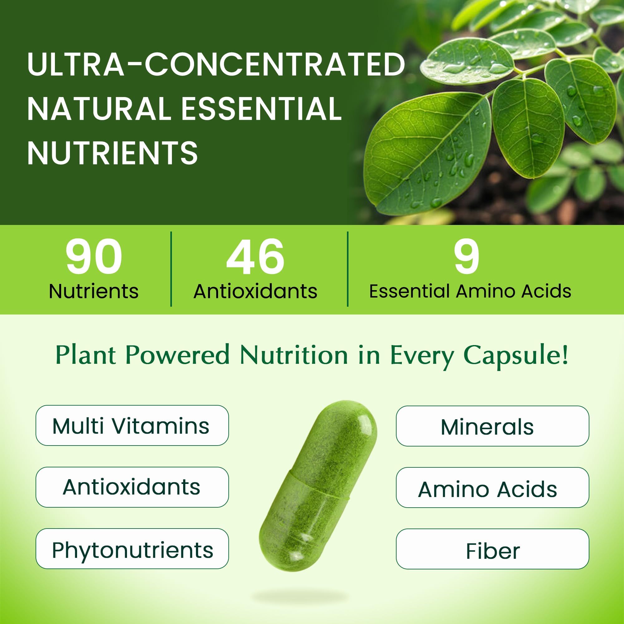 Organic Veda Moringa Capsule 1000mg, 6 Months Supply - True Green Pure Organic Moringa Leaf Superfood - Vitamins & Antioxidants Rich Powder, Energy, Digestion, Brain & Skin Health - 360 Vegan Capsule