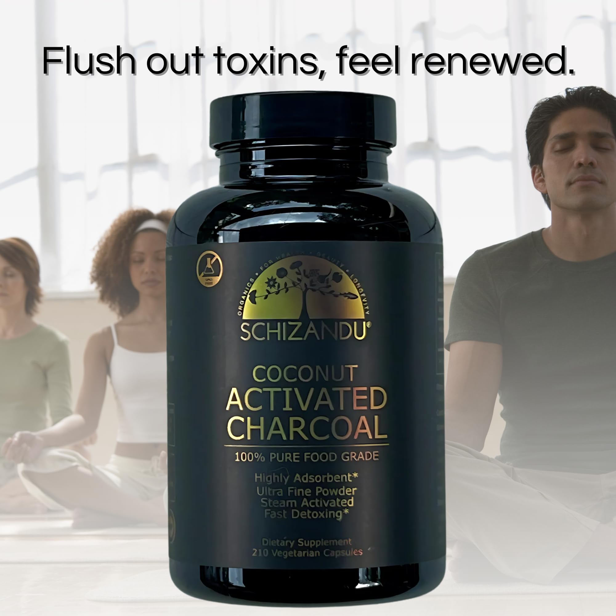 Activated Charcoal Powder, Food Grade Detox, Non GMO Veggie Capsules, for Detoxification,Teeth Whitening, Digestive System,to Prevent Hangover,Vegan,Free Bonus eBook Guide