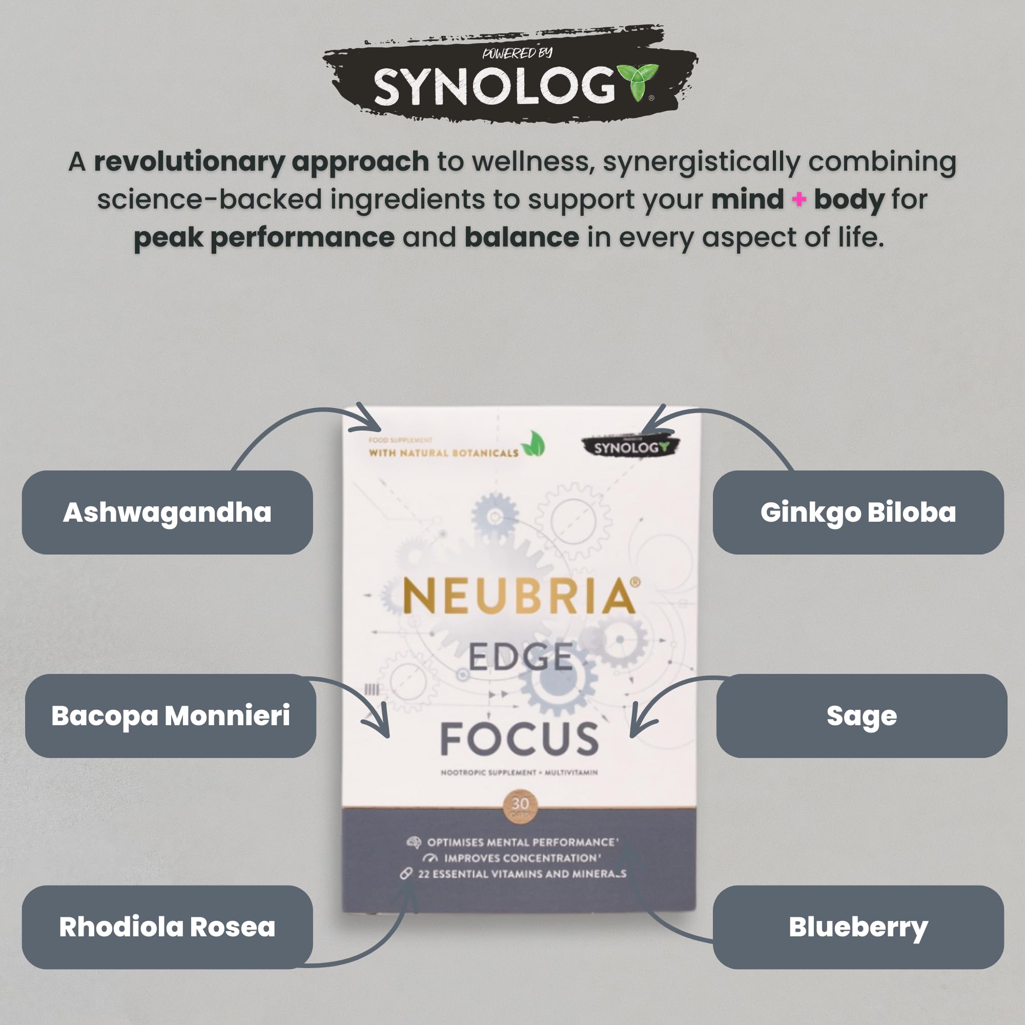 NEUBRIA Edge Focus Supplement – Multivitamin + Nootropics Brain Support with Bacopa Monnieri, Ashwagandha, Rhodiola, Ginkgo Biloba, Sage, Blueberry & Rosemary – Potent Cognitive Formula – 30 Capsules