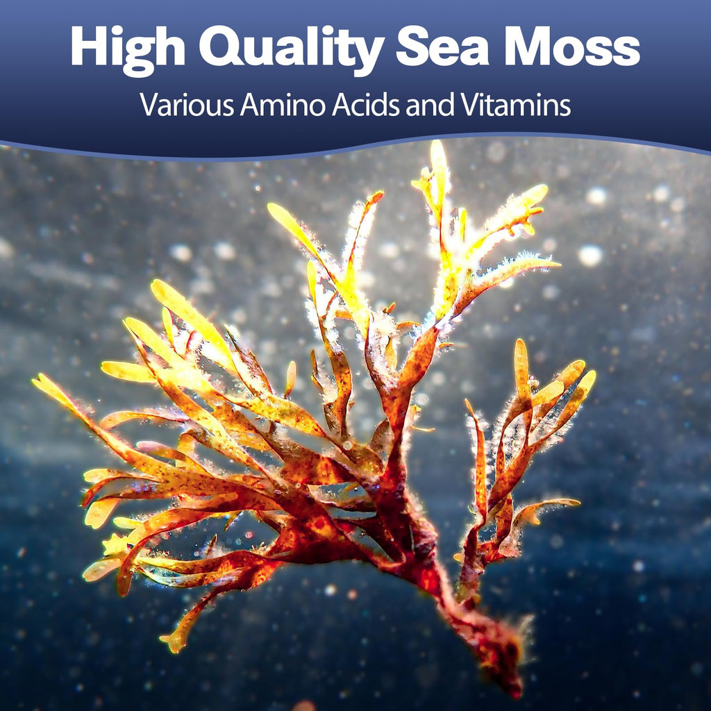 Totaria 25-in-1 Sea Moss Capsules, 120 Capsules per Bottle, 2 Bottles