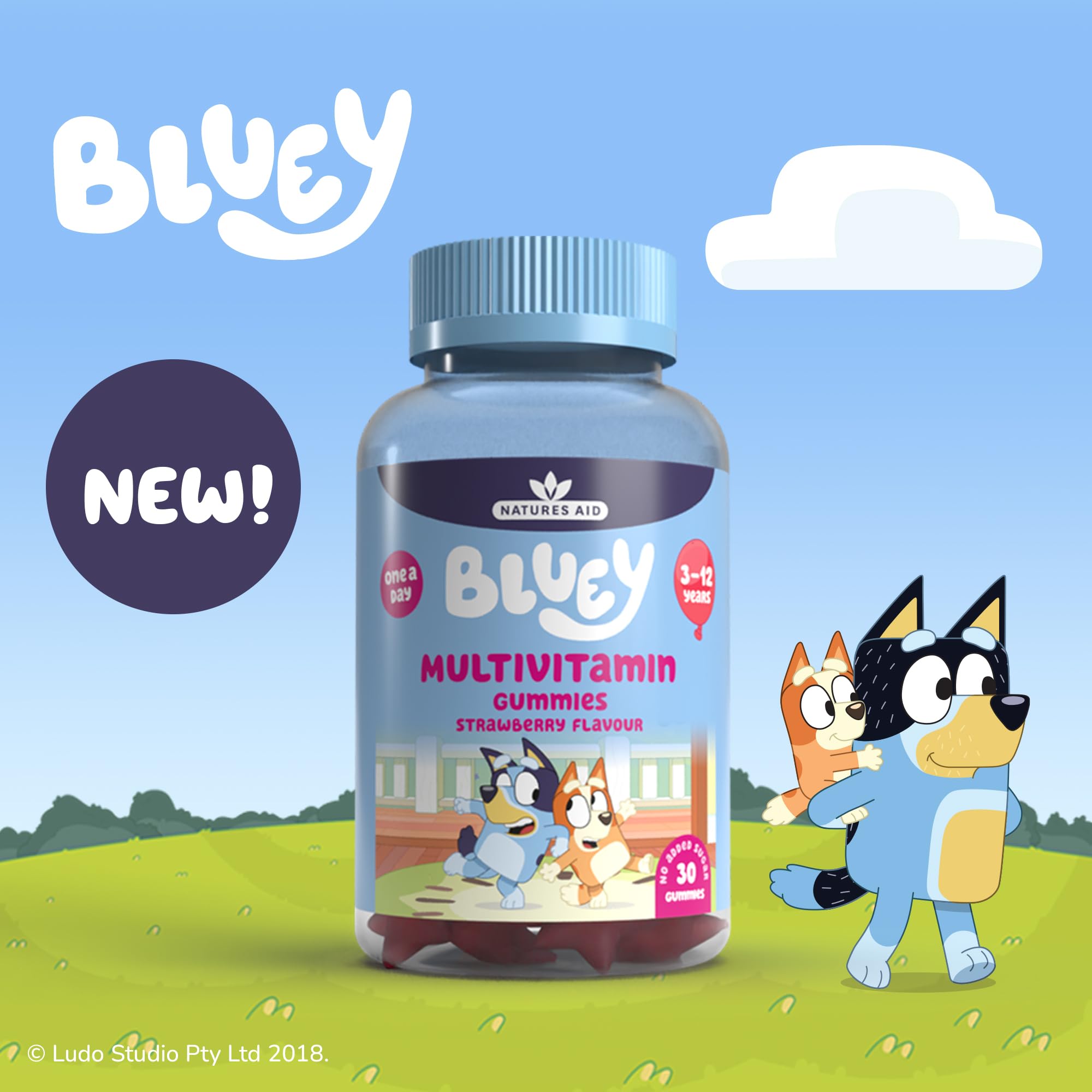 Bluey Kids Multivitamin Gummies for Children – 30 Vitamin Gummies
