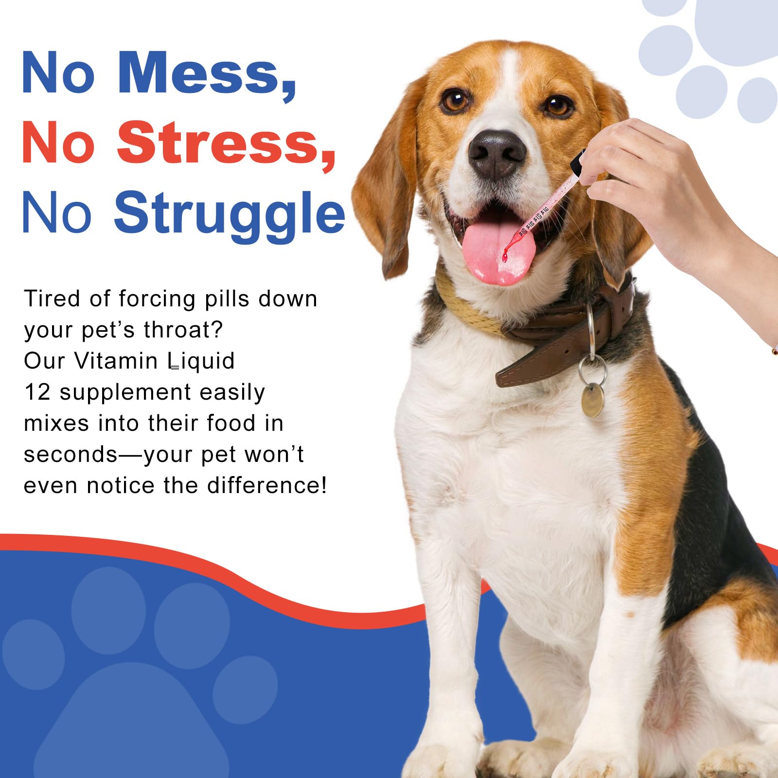 Netrca Appetite Stimulant for Dogs - Vitamin B12 (Methylcobalamin) Liquid Supplement - Boosts Appetite, Energy, and Mood - 60 ml