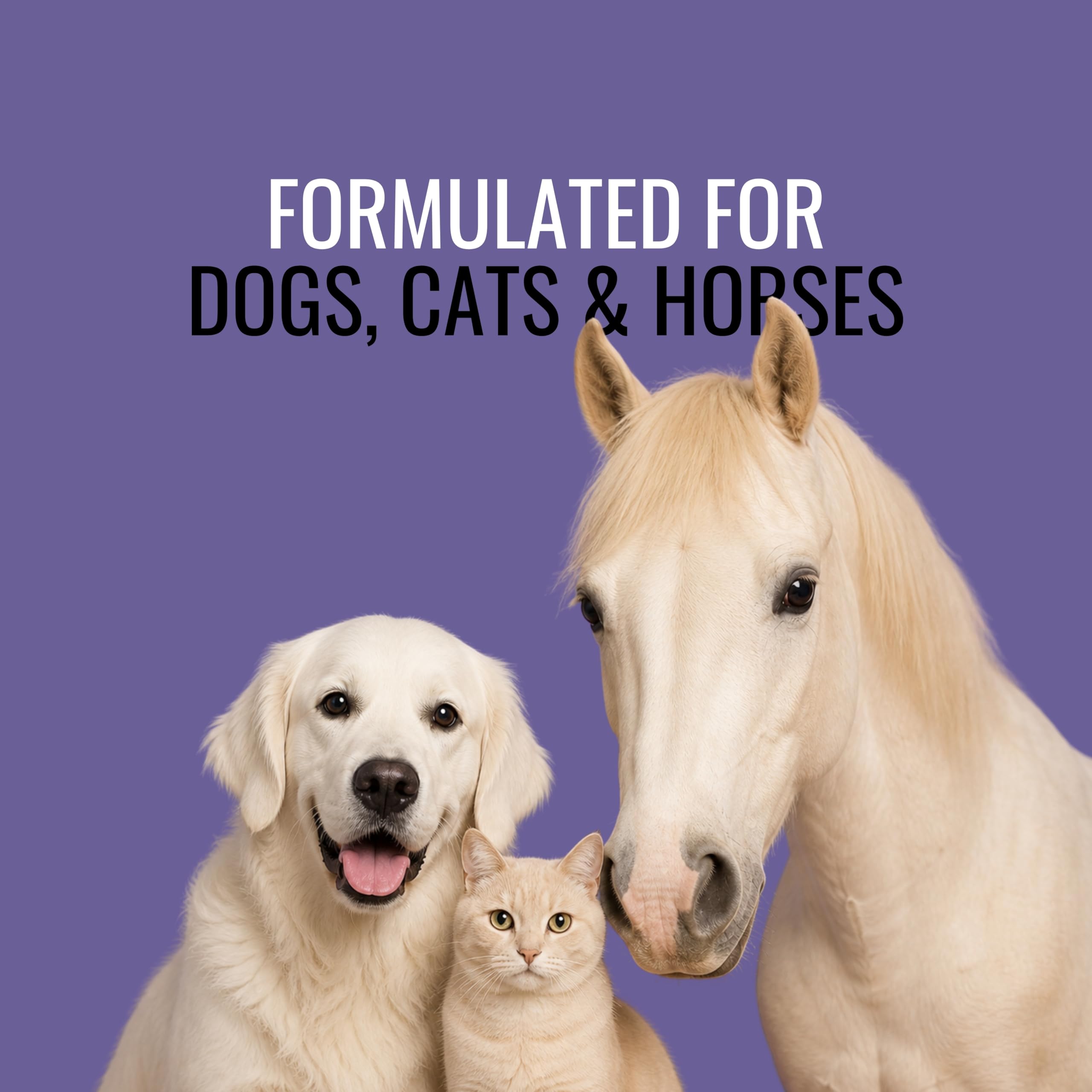 NOVEHA 1% Hydrocortisone Spray for Dogs, Cats, Horses – Hot Spot Treatment & Itch Relief for Pets – Advanced Formula Soothes Itch, Hot Spots, Dermatitis, Irritated Dry Itchy Skin & Allergies – 120mL
