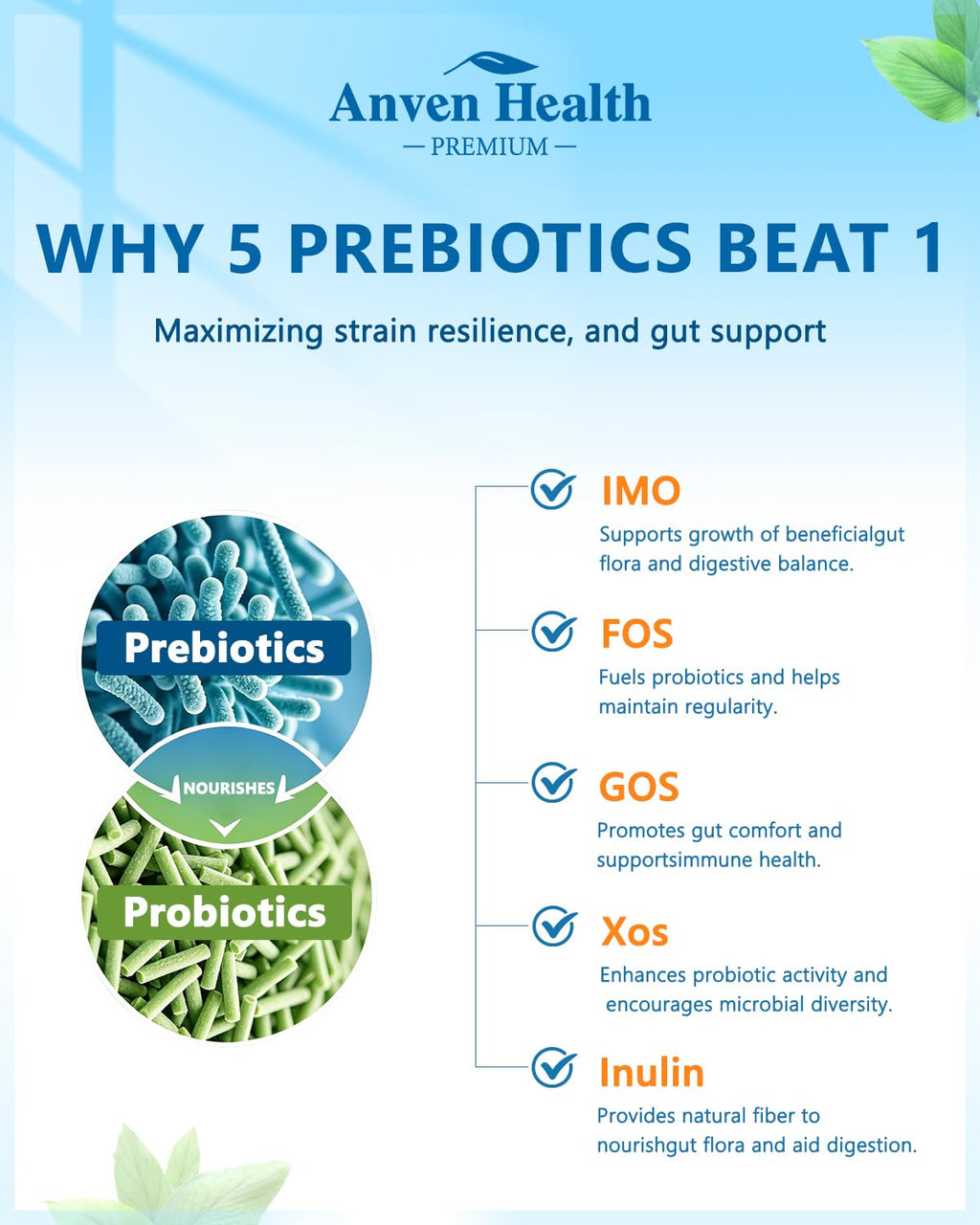Anven Health Probiotics for Women Men Prebiotics, Made in USA Digestive