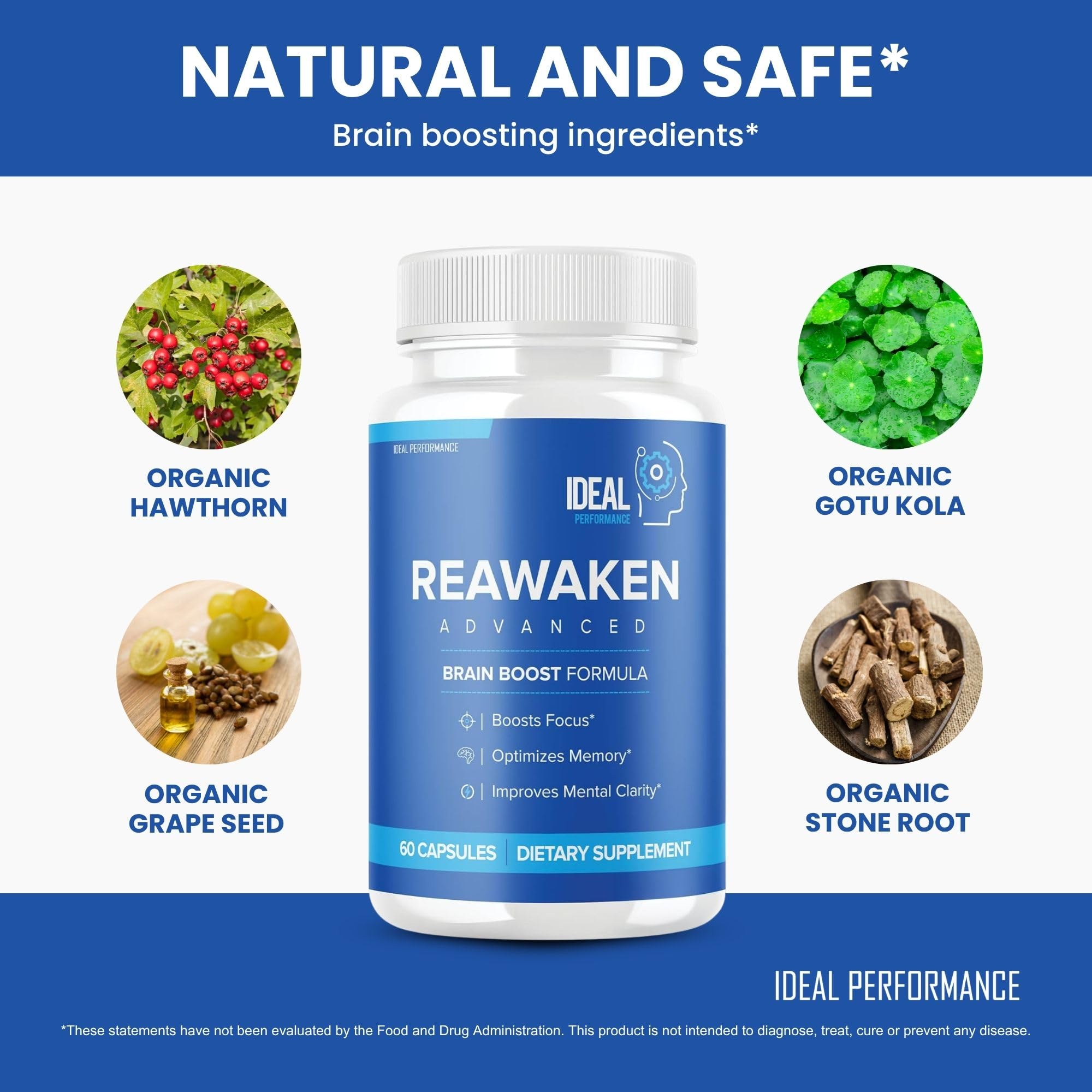 Reawaken Brain Boost Supplement for Memory Advanced Formula (60 Capsules)