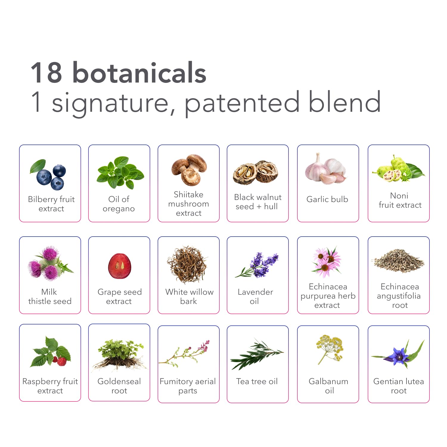 Biocidin Capsules - Biofilm Disruptor & Gut Cleanse Detox - Microbial Balance, Biofilm Defense & Immune Support - Professional-Grade 18-Botanical Herbal Supplement for Women & Men (90 Capsules)