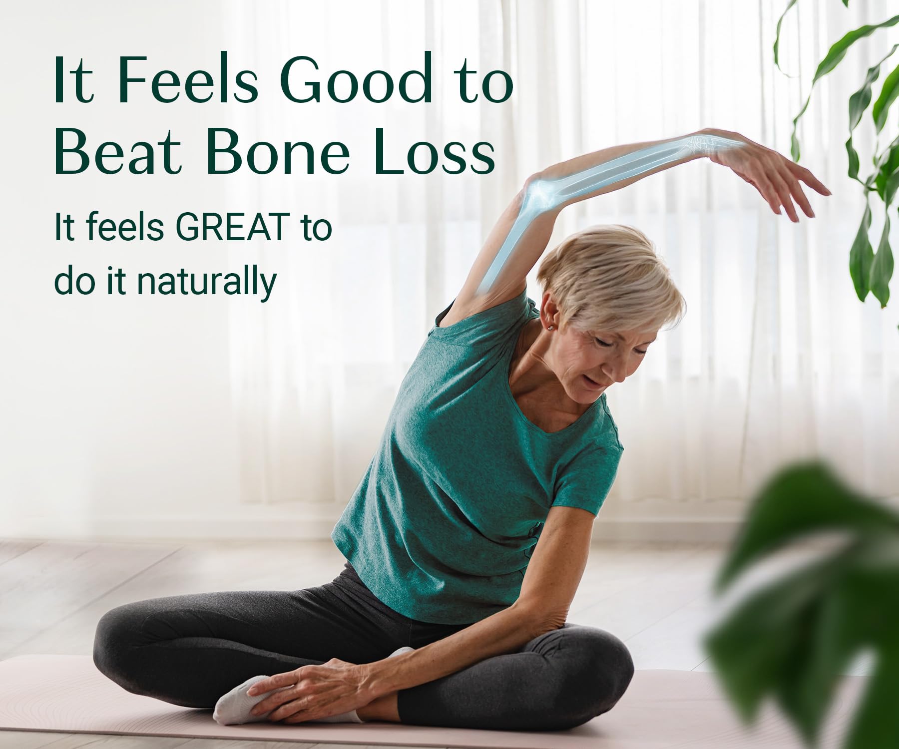AlgaeCal Strontium Boost for Bone Density & Strength, 60 Caps, 3 Packs