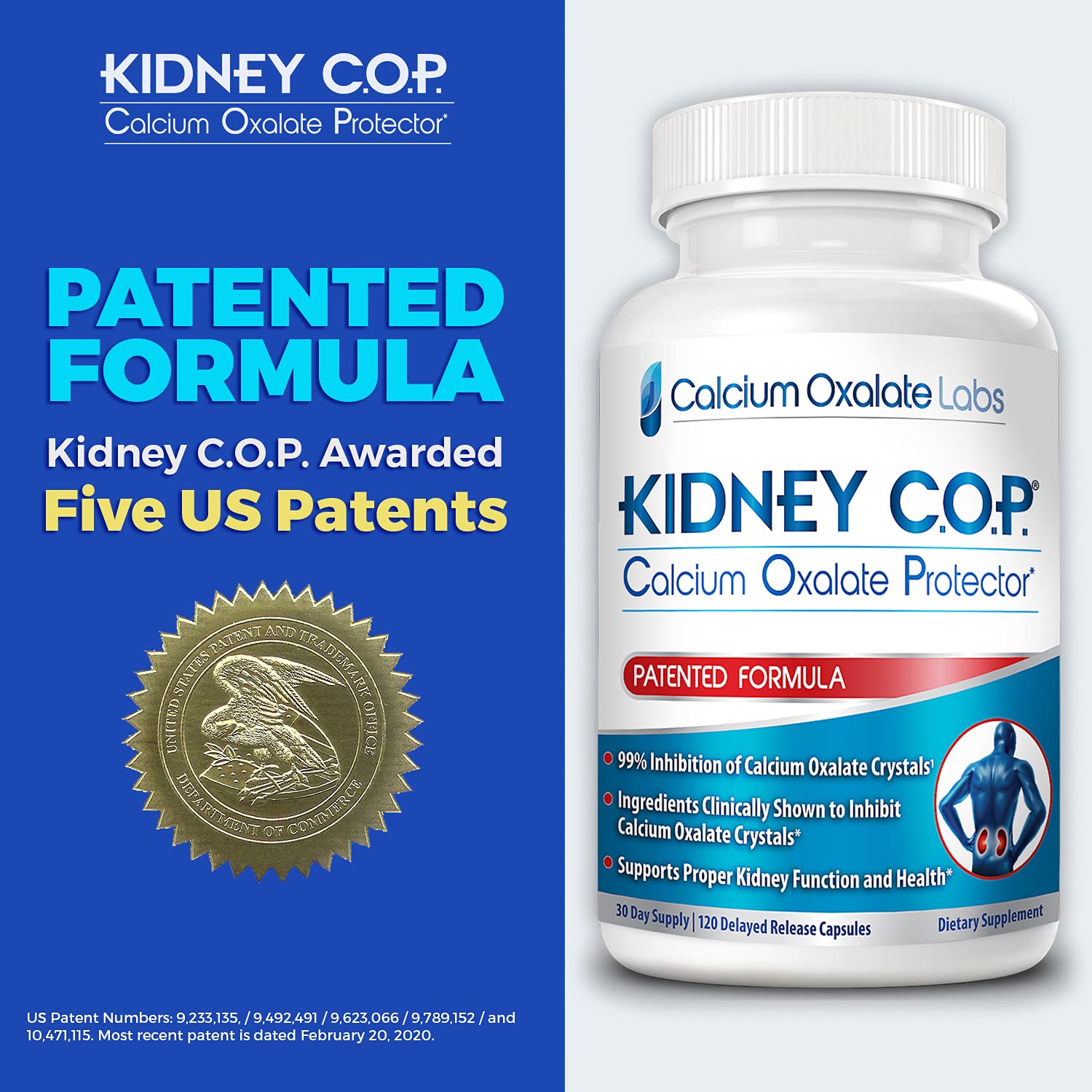 KIDNEY C.O.P. Calcium Oxalate Kidney Stone Support Supplement 120 Caps