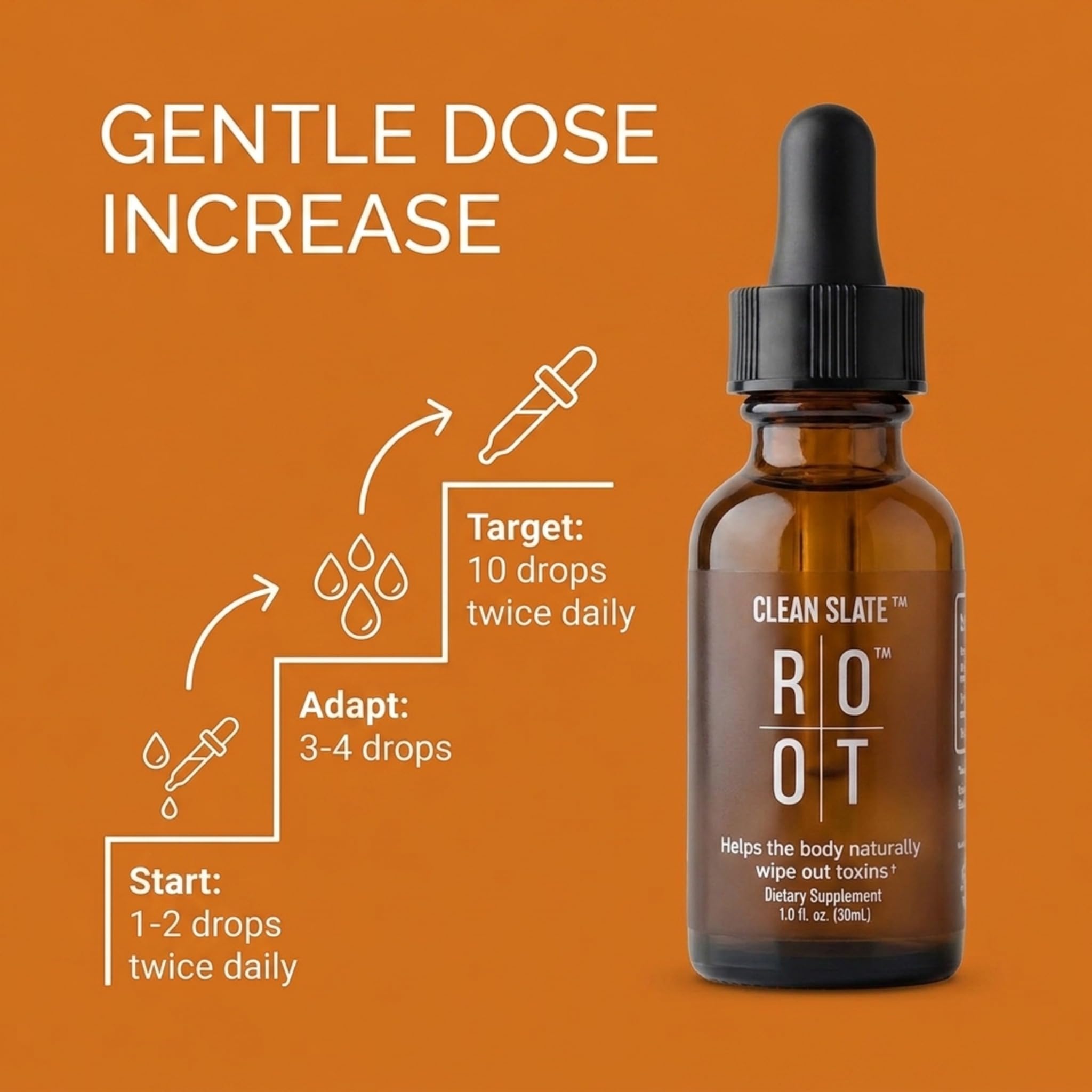 THEROOTBRANDS Root Wellness Clean Slate - by Dr. Rahm | Bioavailable Silicic Acid with Added Vitamin C - (30 ml)