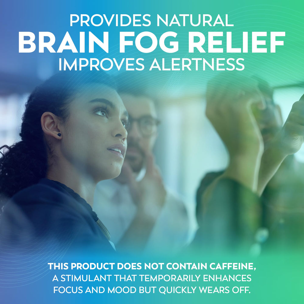 Brain Supplements for Memory and Focus – Dr Lewis Daily Brain Care Powder with Aloe Vera – Plant-Based Nootropic and Energy Supplement for Brain Fog, Mental Clarity, and Immune Support – Powder, 150g