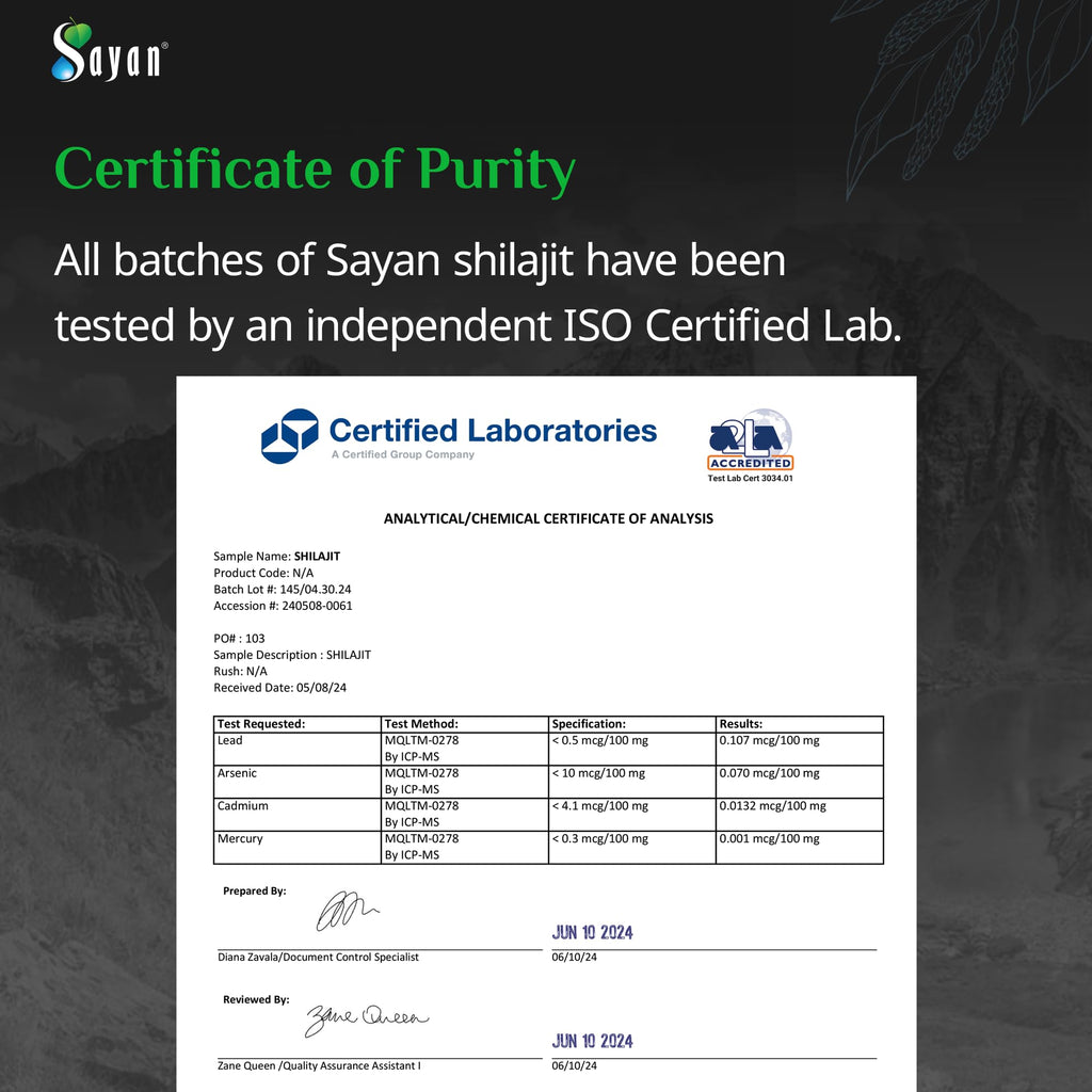 Sayan Pure Shilajit Resin 1.4oz/40g, 265 Servings - Potent Organic Fulvic Acid Supplement - Supports Immune System, Memory, Focus, and Provides Natural Energy, Detox - Vegan, Non-GMO