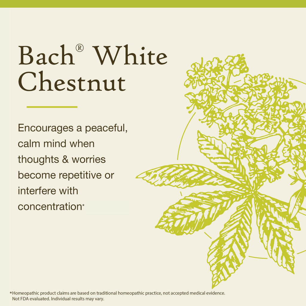Bach Original Flower Remedies, White Chestnut - Calm The Mind - Natural Homeopathic Flower Essence for Emotional Balance - Vegan, Gluten Free, Sugar Free - 20mL Dropper