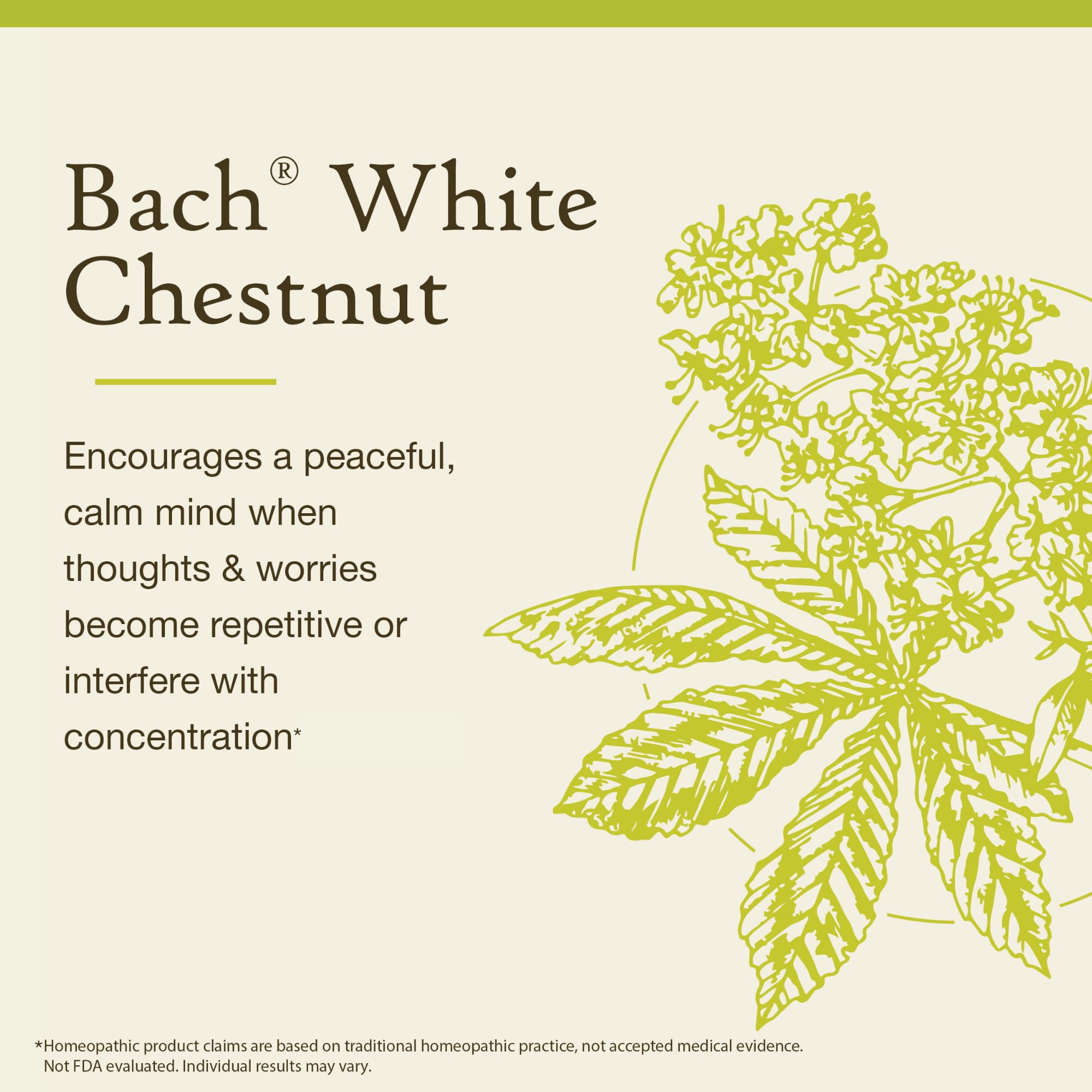 Bach Original Flower Remedies, White Chestnut - Calm The Mind - Natural Homeopathic Flower Essence for Emotional Balance - Vegan, Gluten Free, Sugar Free - 20mL Dropper