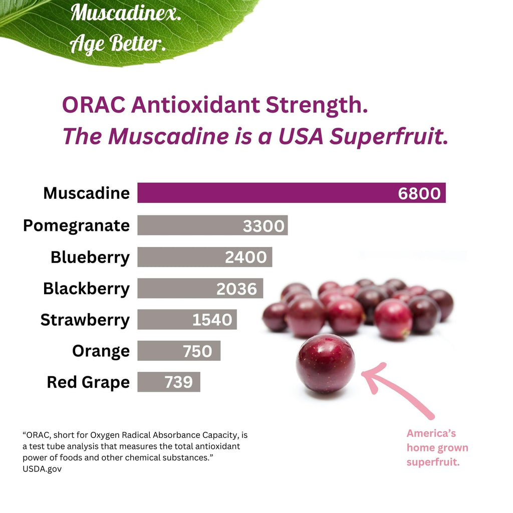 Whole Muscadine Supplement. Polyphenol-Rich. 2X Bioavailability.