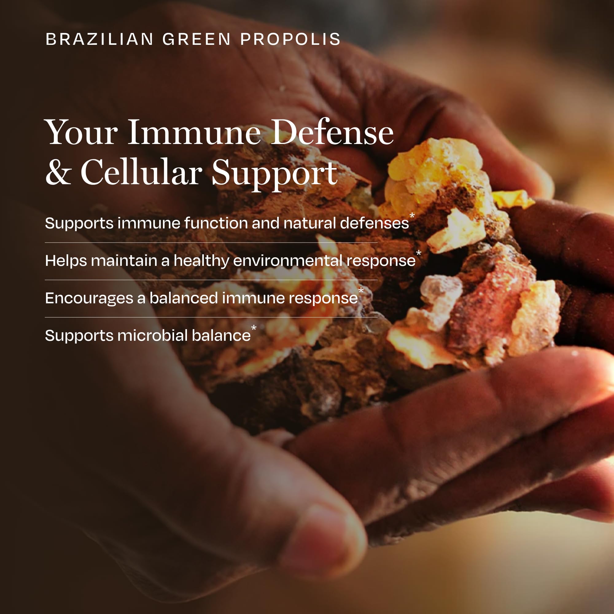 BioPure Brazilian Green Propolis Pure Propolis Extract – Natural Freeze-Dried Extract with Atrepillin-C ad Phenols to Support Respiratory, Gastrointestinal, and Immune Function – 60 Capsules