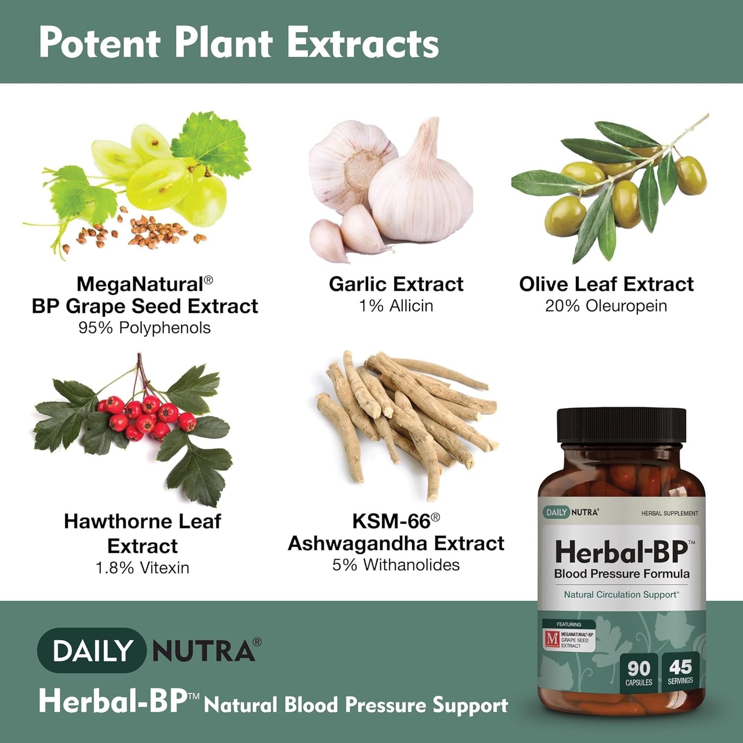Herbal-BP Natural Blood Pressure Supplement - Supports Circulatory Health | Featuring Grape Seed Extract, Garlic, Hawthorn, Olive Leaf & Ashwagandha for Long-Term Support (3-Pack)