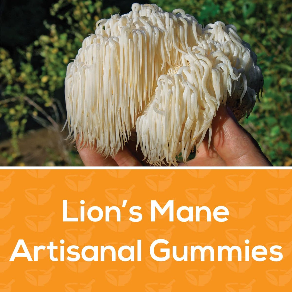 Safer Products Lion’s Mane Mushroom Gummies - May Support Focus, Memory, and Mood - Lemon Berry Flavor - Vegan, Non-GMO, Gluten-Free, Gelatin Free - 120 Count