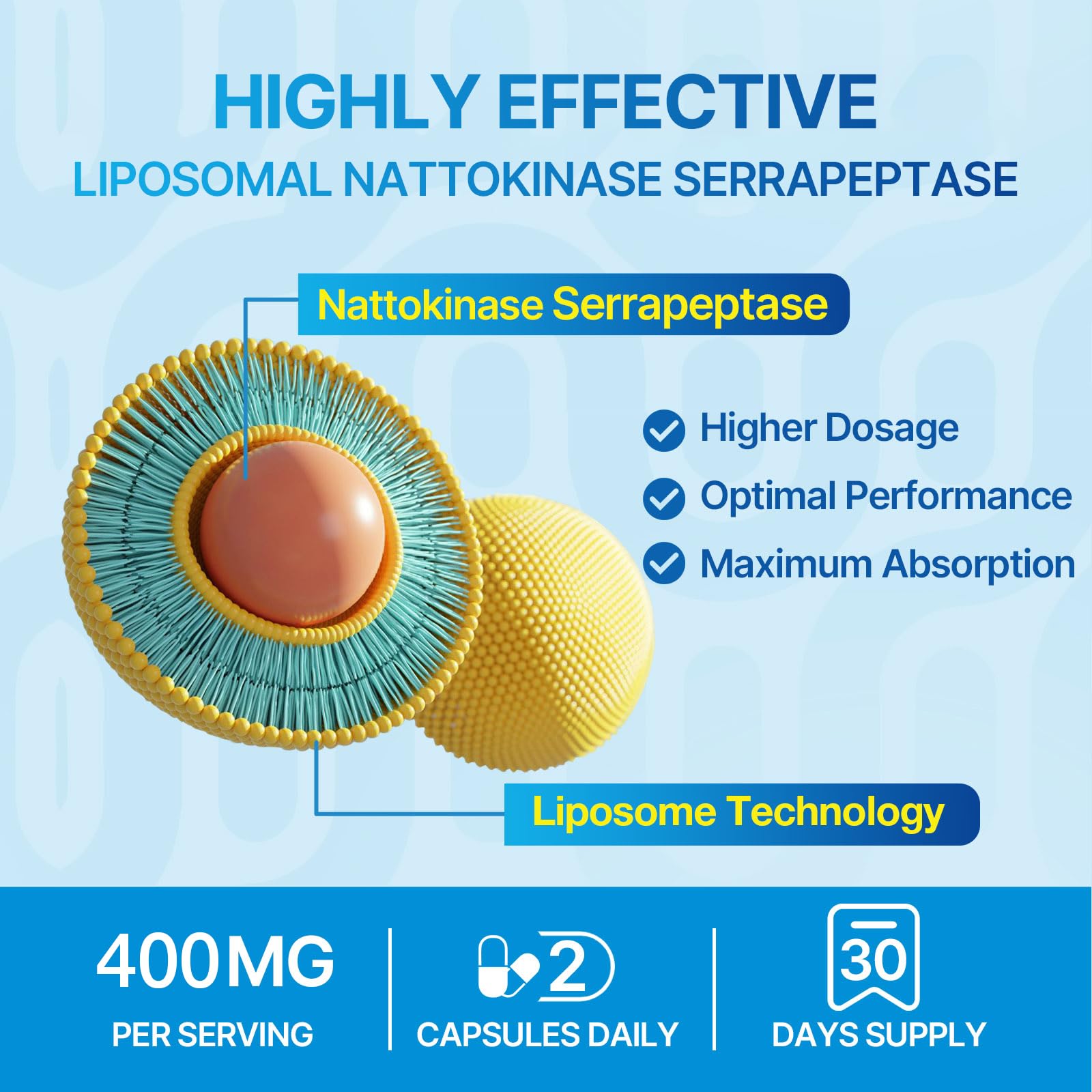 Liposomal Nattokinase 12,000 FU Serrapeptase 360,000 SPU Enzyme Supplement - Enriched with Synergistic Enzymes and Nutrient Blend & Inulin for Circulatory, Gut, Digestion 60 Capsules (1 Bottle)