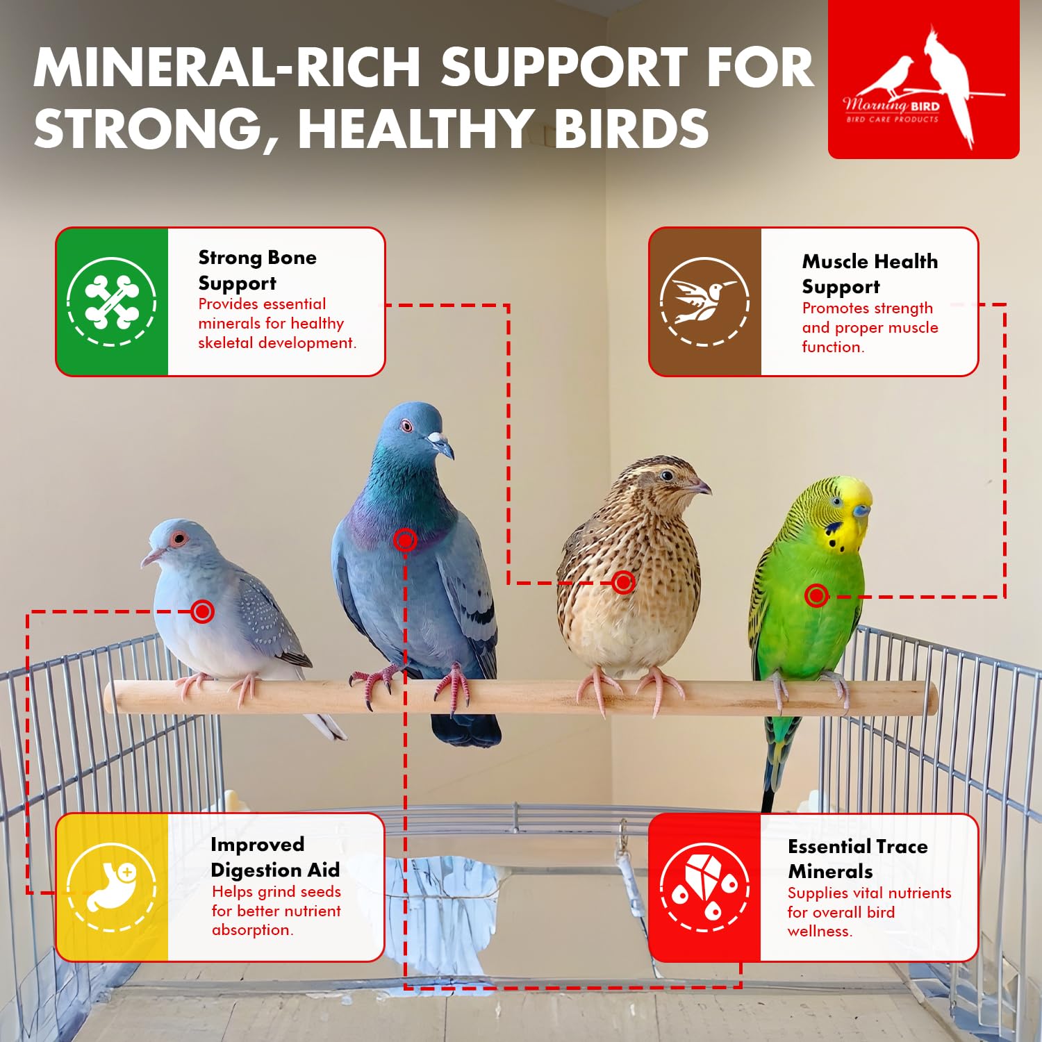 Morning Bird Pigeon Grit - Healthy & Nutritious Pigeon Food to Support Strong Muscles & Bones for Grit Eating Birds - Supports Digestion & Packed with Essential Minerals 9 lbs