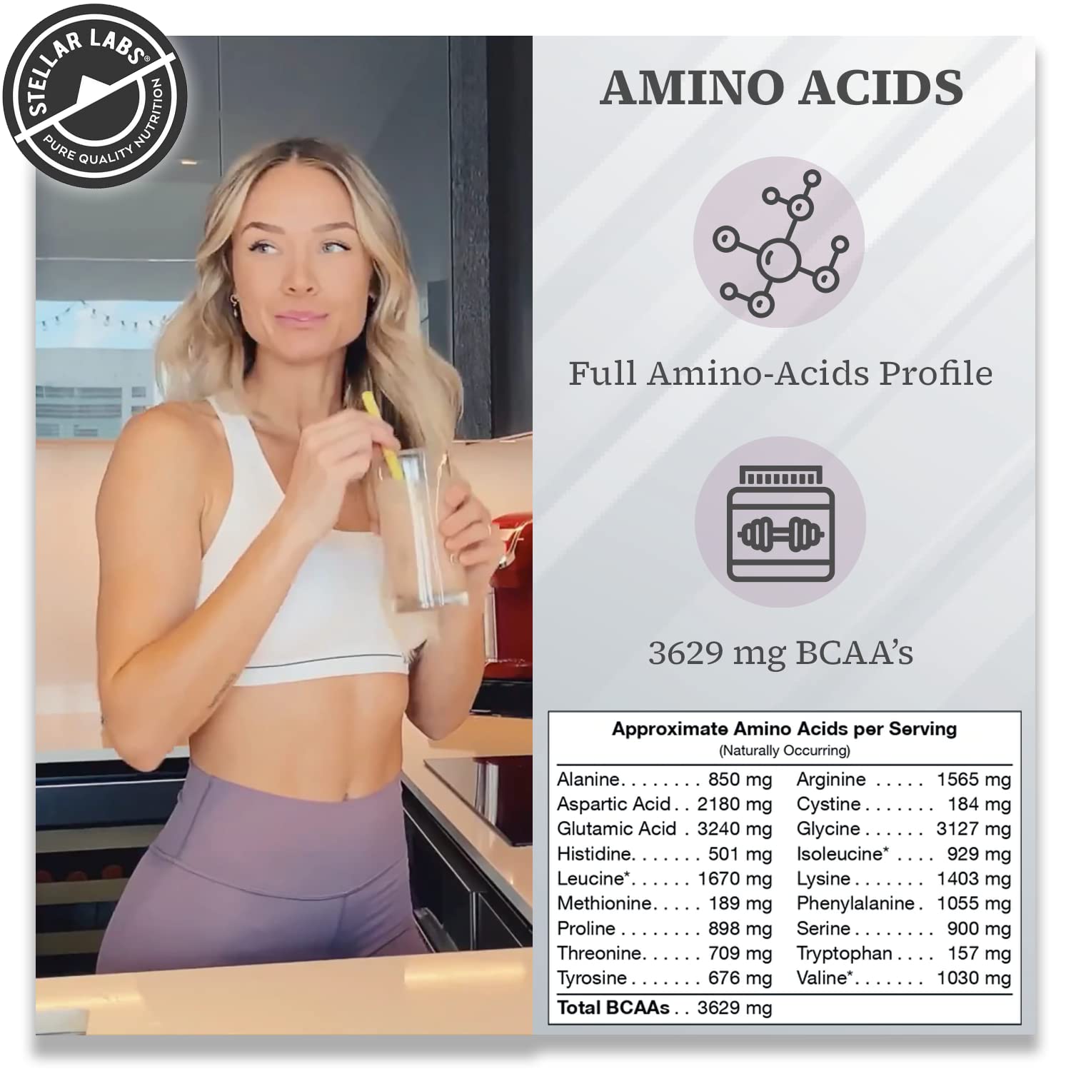 Stellar Labs Vegan Protein Powder with BCAA's & Antioxidants | Certified Low FODMAP, Non GMO, Gluten Free, Soy Free, Low Carb, with Stevia | Lean Plant Based Protein Powder Shakes | Chocolate