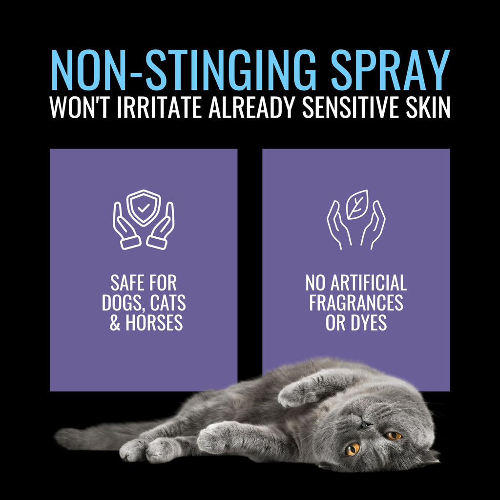 NOVEHA 1% Hydrocortisone Spray for Dogs, Cats, Horses – Hot Spot Treatment & Itch Relief for Pets – Advanced Formula Soothes Itch, Hot Spots, Dermatitis, Irritated Dry Itchy Skin & Allergies – 120mL