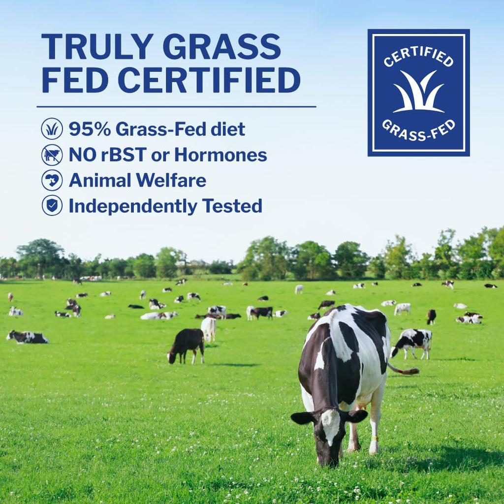 Opportuniteas Grass Fed Whey Protein Powder Concentrate - 1 Ingredient - Pure Protein Supplement for Drink, Smoothie, Shake, Cooking & Baking - Non GMO, Hormone Free & Gluten Free - 1 Pound