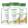 Fairvital | Bee Propolis Capsules - 500mg - HIGH Dosage - 3 x 60 Capsules