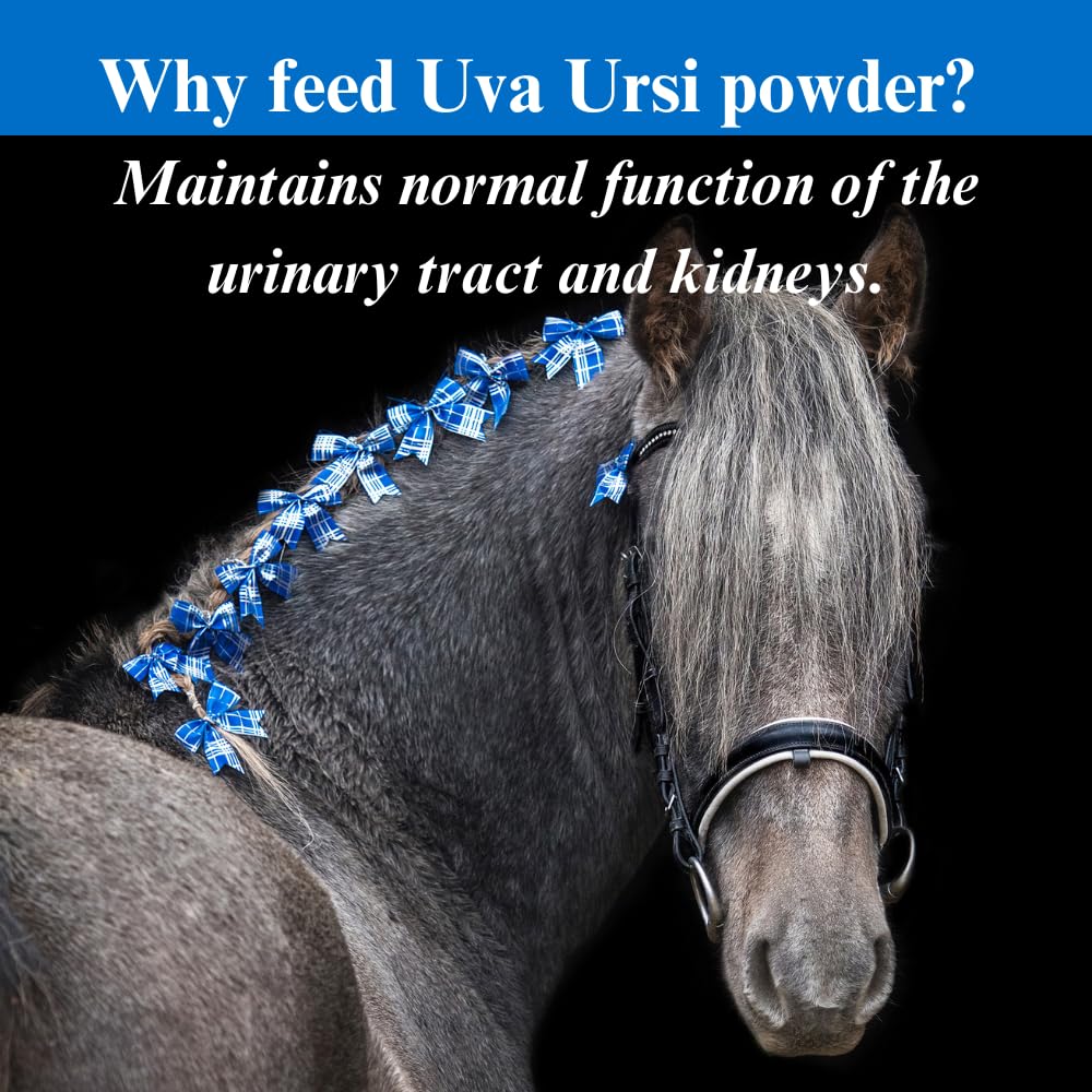 SU-PER Uva Ursi Supplement for Horses - Supports Proper and Active Kidney Function & Healthy Urinary Tract - 4 Pound