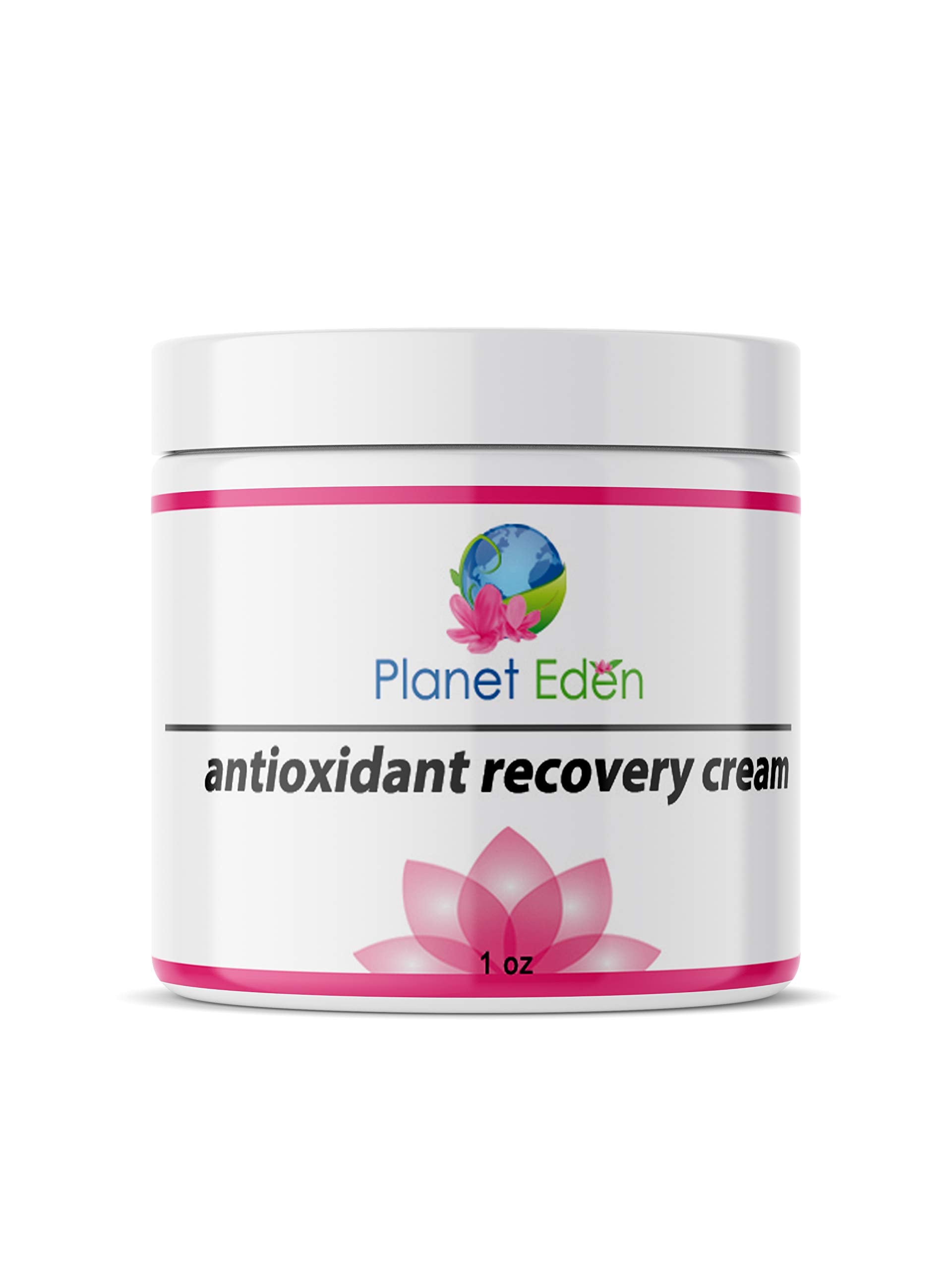 Planet Eden 70% Glycolic Acid Chemical Skin Peel Kit + Organic Botanical Peel Neutralizer and 1 oz Antioxidant Recovery Cream + Treatment Fan Brush