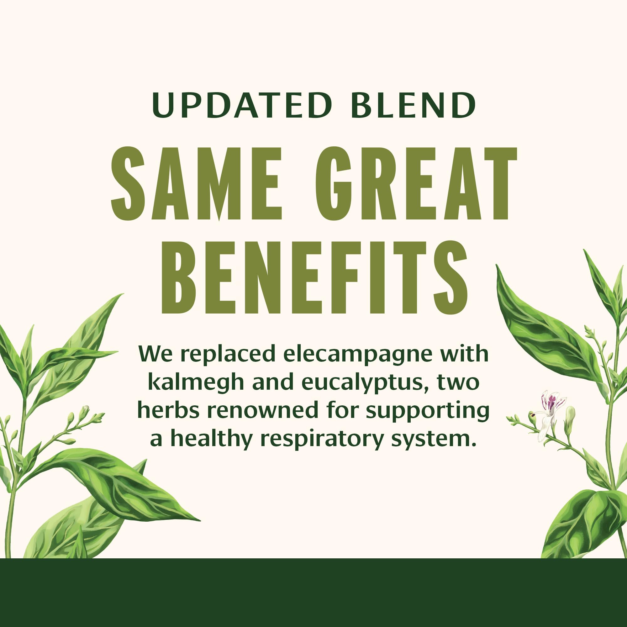 Banyan Botanicals Lung Formula – Organic Respiratory Support for Lung Health – Plant-Based Blend with Licorice, Tulsi Leaf, and Other Lung Health Herbs – 90 Tablets – Non GMO Fair for Life Vegan