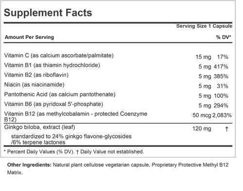 ANDREW LESSMAN Ginkgo Biloba 120mg - 180 Capsules - Standardized Extract to Maintain Flow of Oxygen and Nutrients to Fuel The Brain. Supports Brain, Memory and Cognitive Function. No Additives