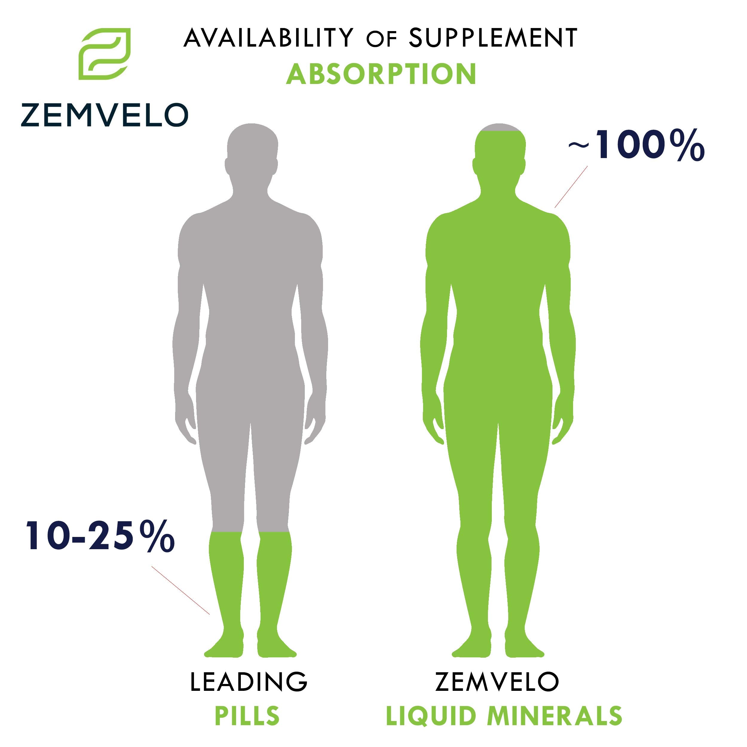 ZEMVELO Liquid Ionic Zinc Supplement – Supports Immune Health & Energy Production – Maintains Skin and Cellular Health – 3-Month Supply