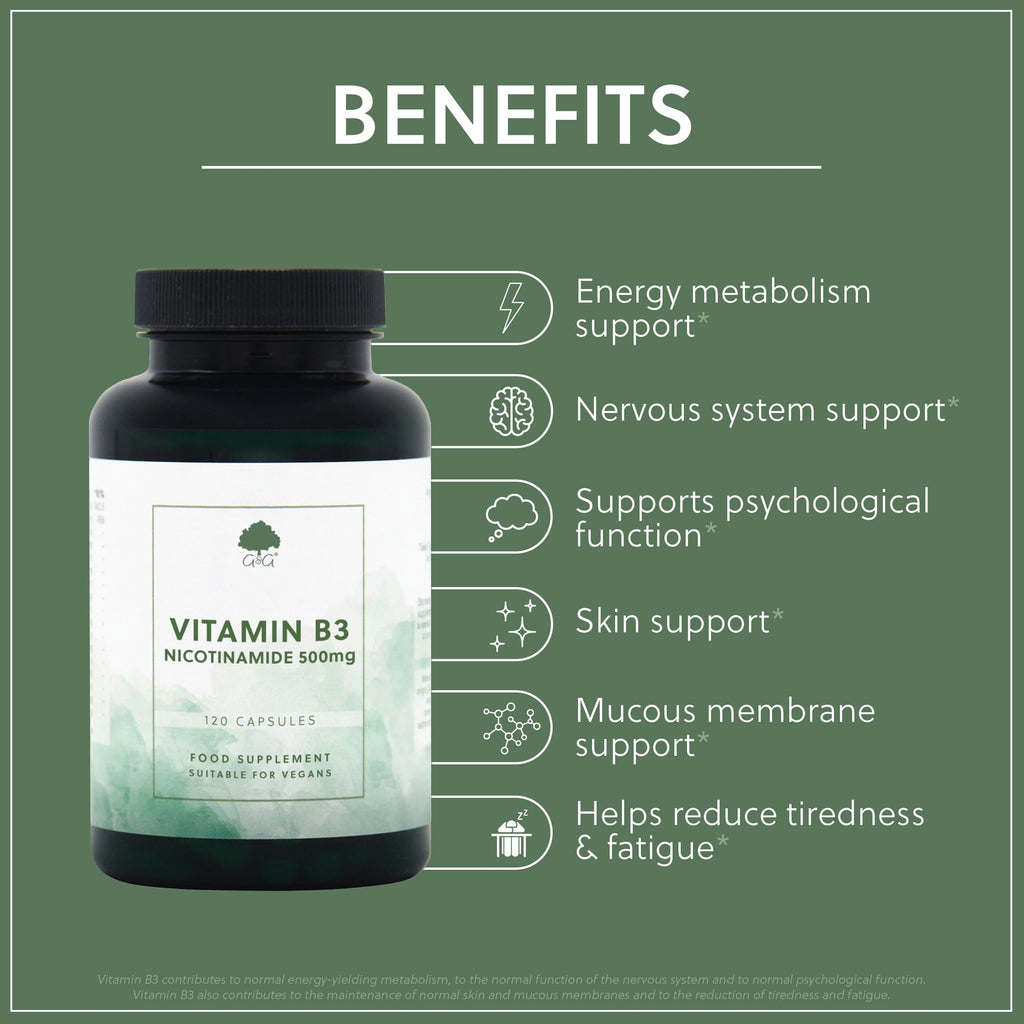 Vitamin B3 (Nicotinamide) 500mg - High Strength, Non-Flush, 120 Vegan Capsules - Non-GMO, Made in the UK - G&G Vitamins