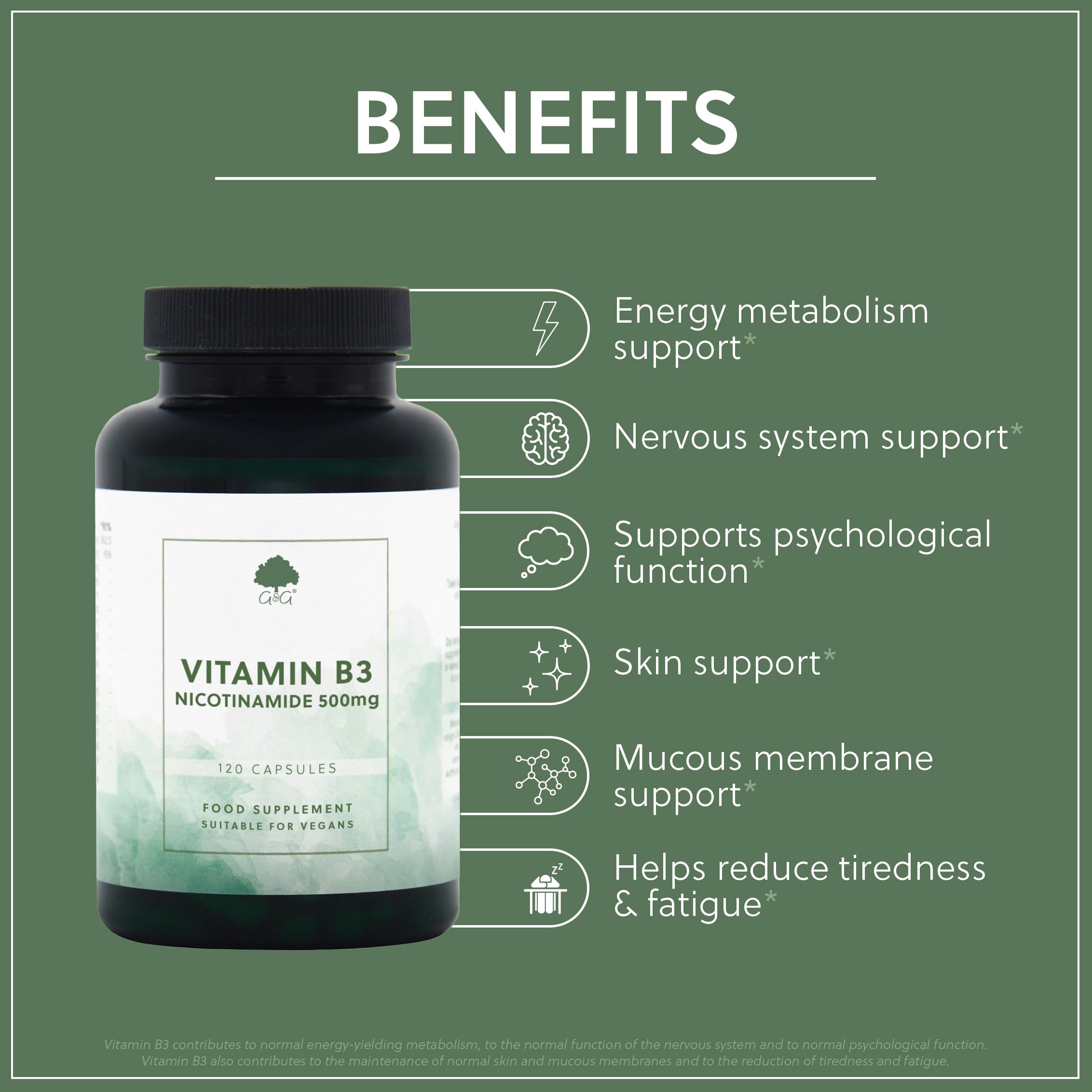 Vitamin B3 (Nicotinamide) 500mg - High Strength, Non-Flush, 120 Vegan Capsules - Non-GMO, Made in the UK - G&G Vitamins