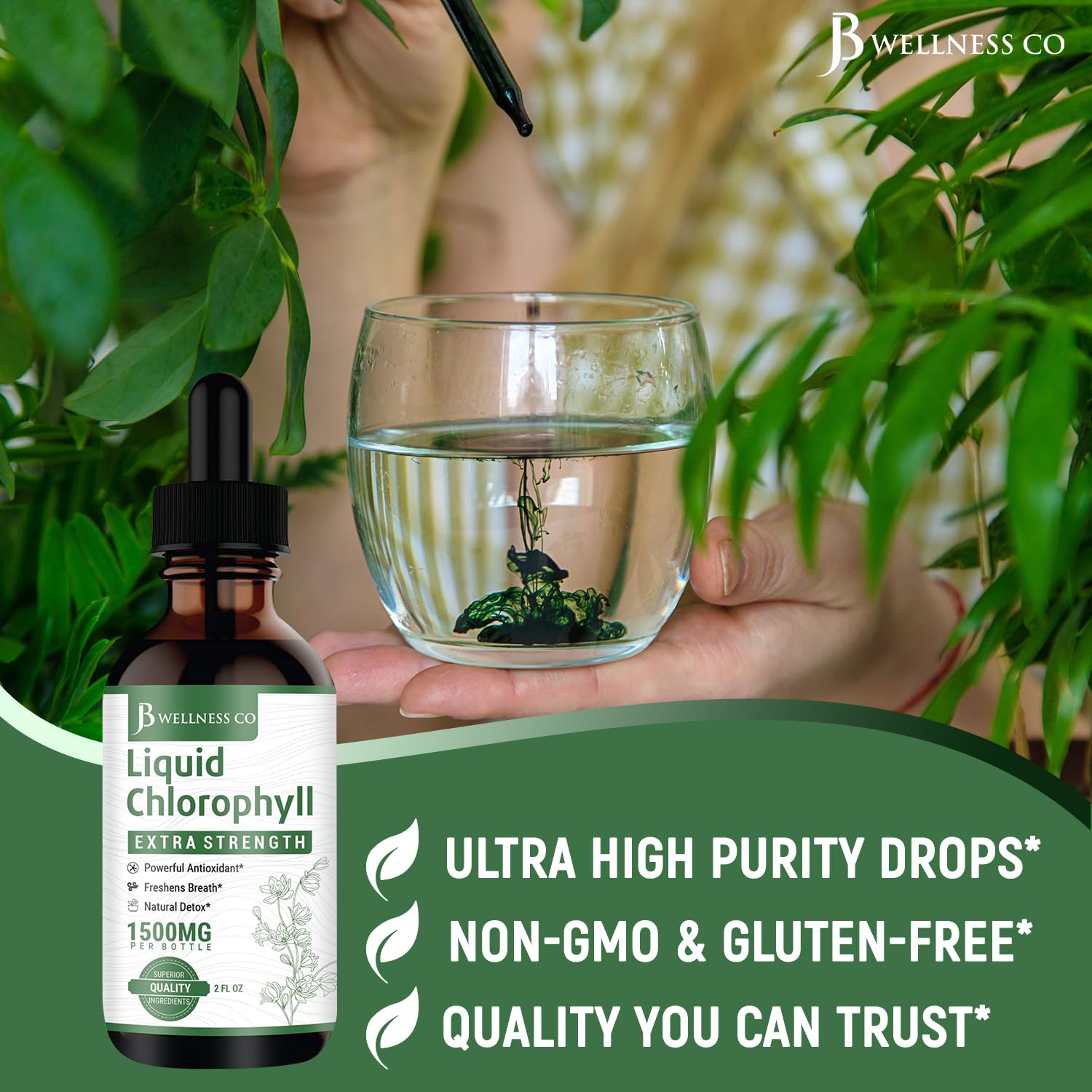 [2-Pack] Liquid Chlorophyll Drops - All-Natural Concentrate – Immune System Support, Energy Booster, and Digestion – from Mulberry Leaves - 240 Servings - [2-Pack]
