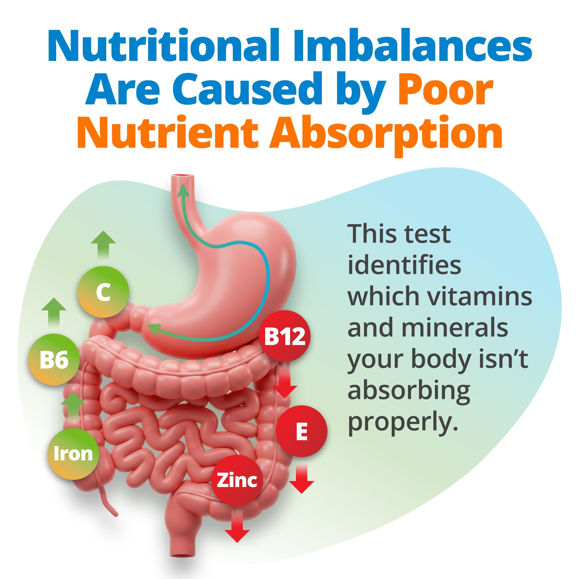 5Strands Nutrition Test, 112 Vitamins, Minerals, Amino Acids Tested, Identify Nutrient Absorption Issues, Holistic At Home Imbalance Testing, Results in 4 Days
