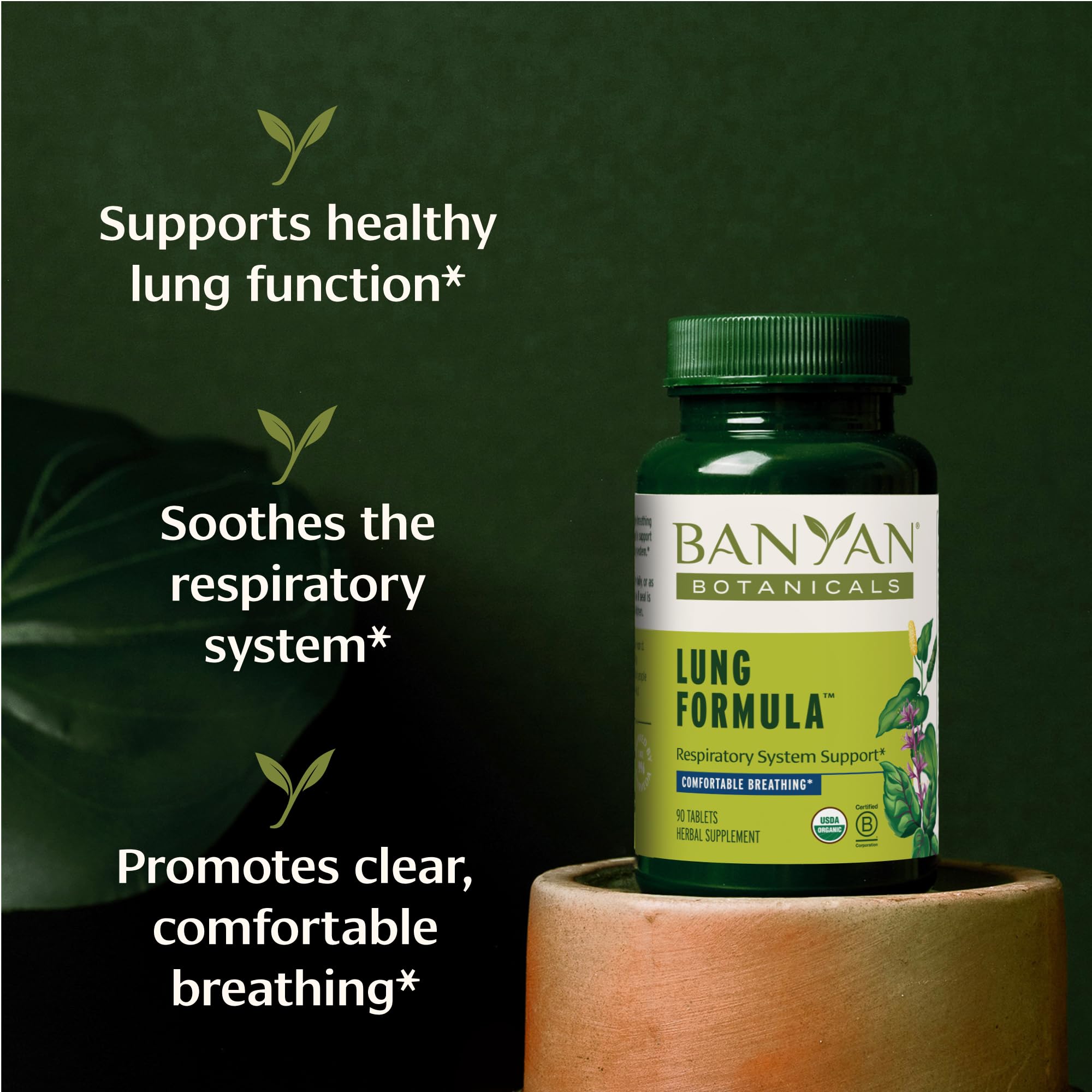 Banyan Botanicals Lung Formula – Organic Respiratory Support for Lung Health – Plant-Based Blend with Licorice, Tulsi Leaf, and Other Lung Health Herbs – 90 Tablets – Non GMO Fair for Life Vegan