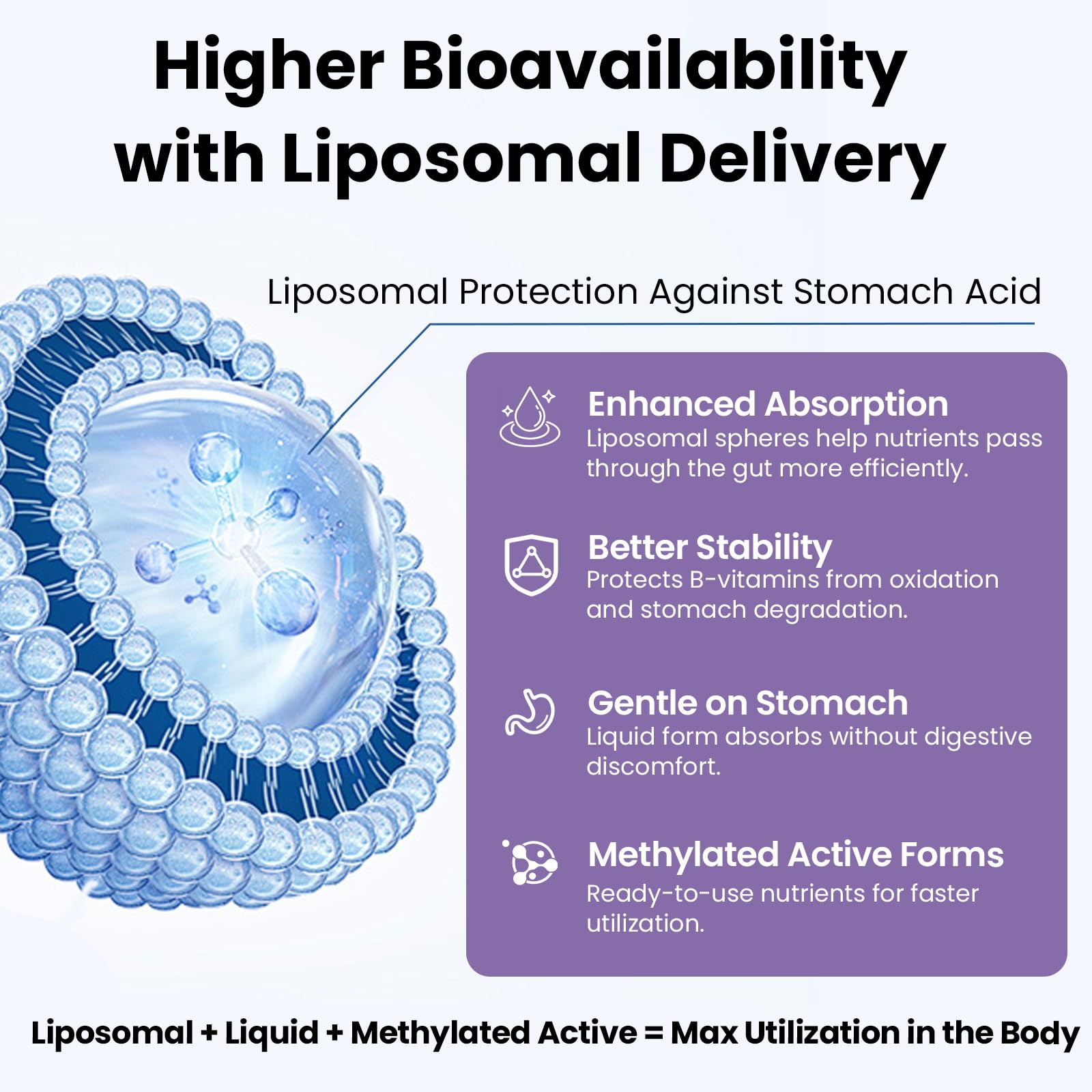 Liposomal Vitamin B Complex Liquid Sublingual B Complex Vitamins Supplement for Women Men Improved Absorption Methylated B12,B1, B2, B3, B5, B6,Folate,Biotin for Energy And Immune Support-4.0 oz