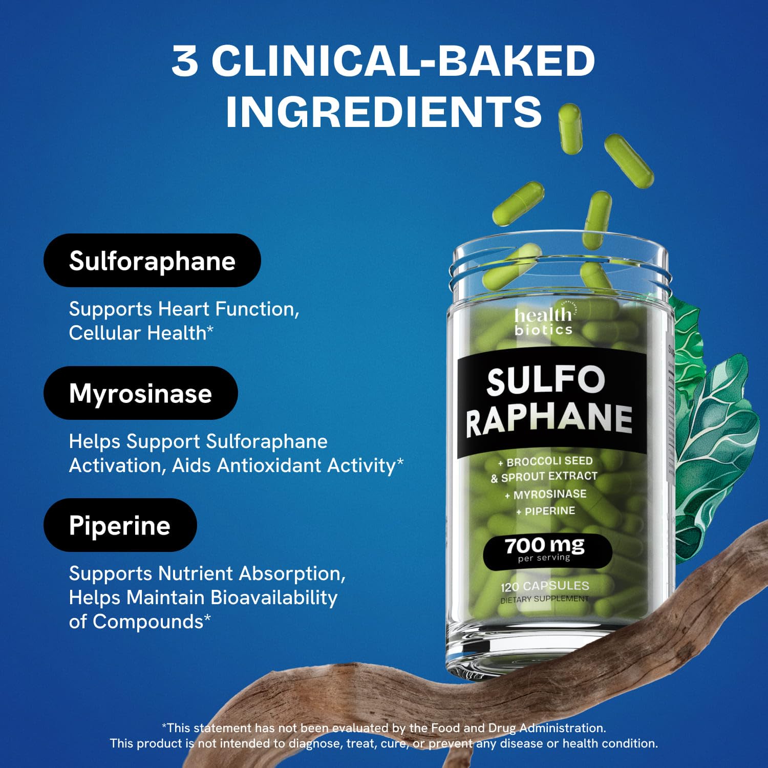 Healthbiotics Sulforaphane Supplement Organic Broccoli Sprouts | Stabilized Sulforaphane from Broccoli Florets & Seeds | Organic Sulfur Supplements 120 Pills | 1 Pack