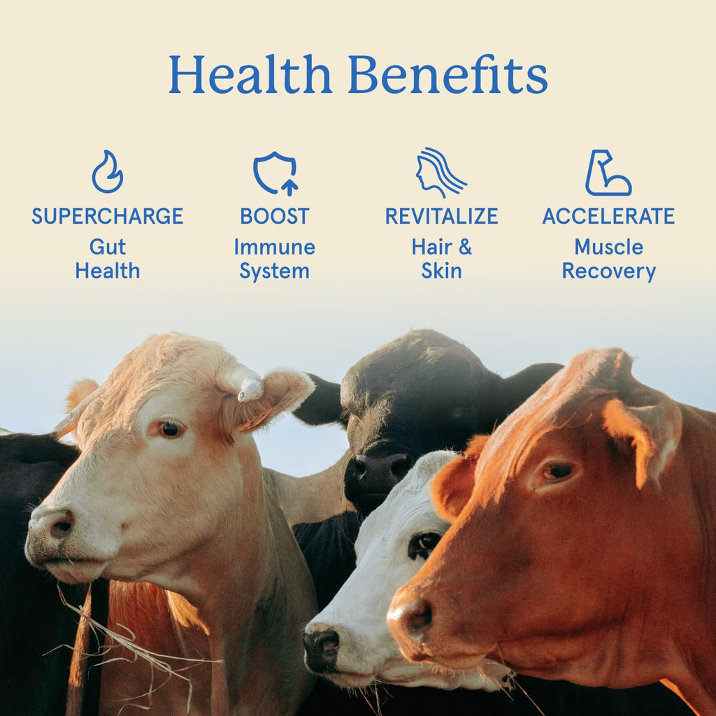 Equip Foods Core Bovine Colostrum Gummies - Delicious 1g Per Seving Grass Fed Colostrum Supplement - Gut Health, Immunity, Recovery, Hair & Skin - 60 Bovine Colostrum Gummies, 30 Servings, Raspberry