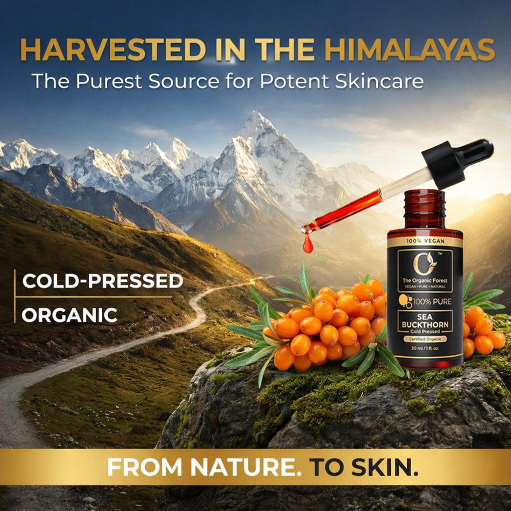 Organic Sea Buckthorn Oil Cold Pressed - 100% Pure Seabuckthorn Oil for Face, Skin & Hair | Anti-Aging, Acne & Dry Skin Care