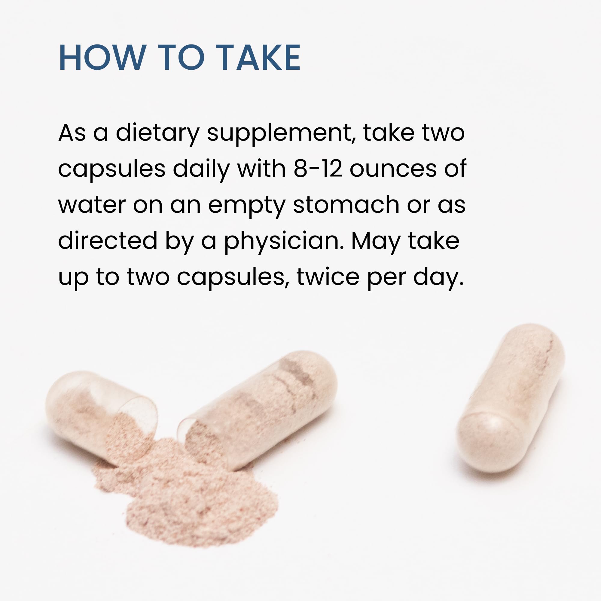 The Wellness Company Spike Support - Detox, Immune Health, Blood Flow, Anti-Clotting - Nattokinase, Dandelion Root, & Black Sativa | 120ct (2 Month Supply)