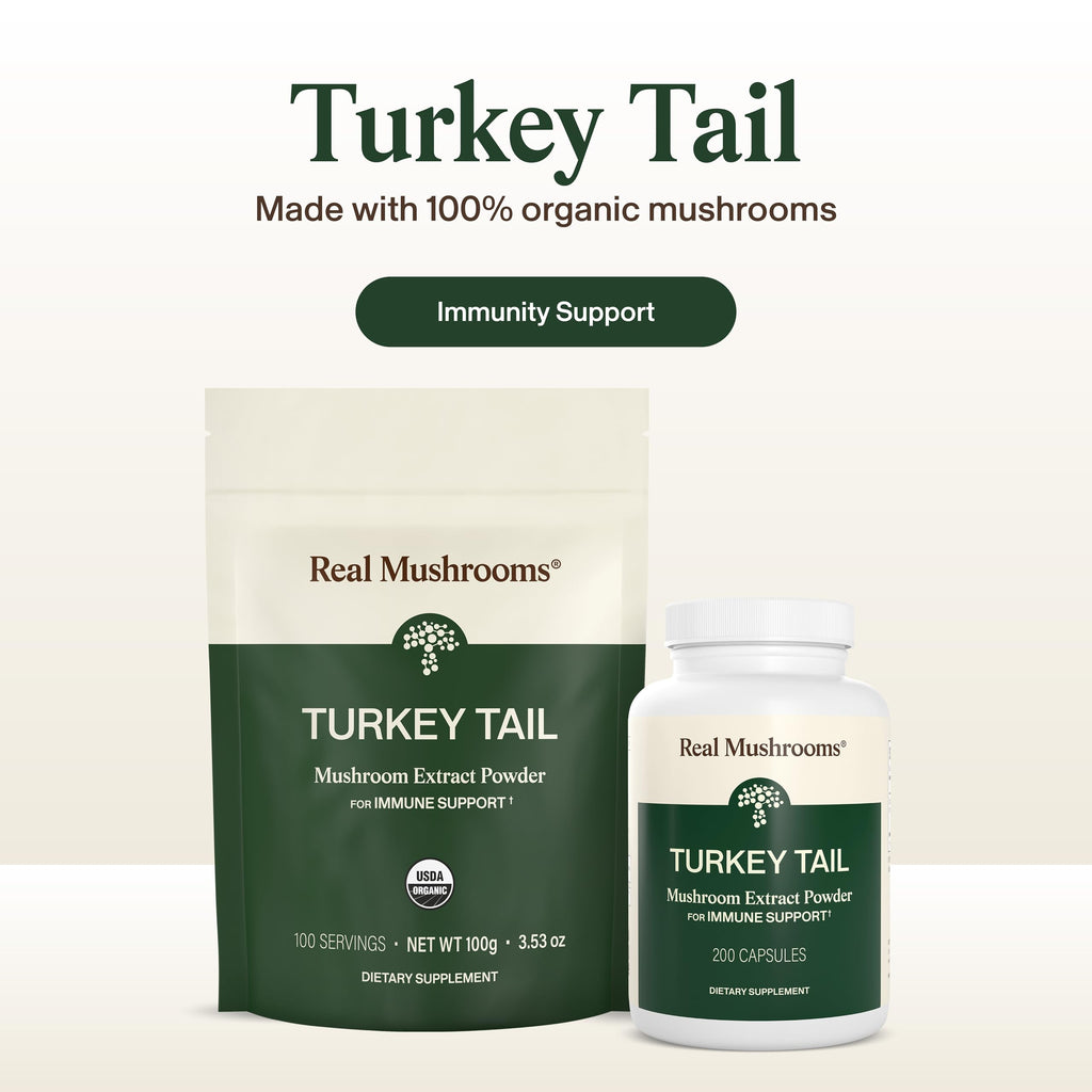 Real Mushrooms Turkey Tail Capsules – Organic Mushroom Extract for Daily Wellness, Gut Harmony, Energy Support – Vegan, Non-GMO, No Fillers – Turkey Tail Extract 200 Count Mushroom Supplement