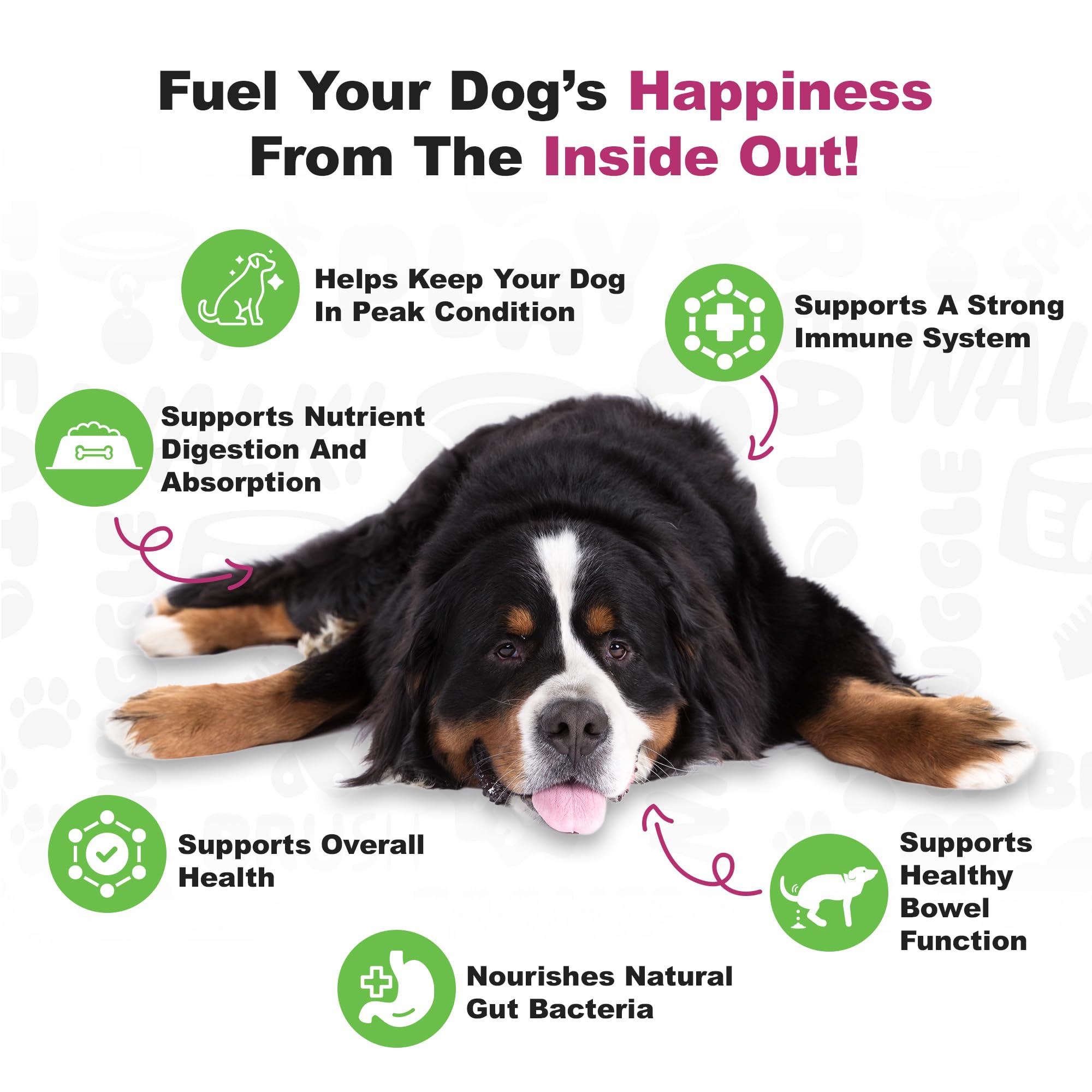 Doggie Dailies Probiotics for Dogs - Advanced Dog Probiotics with Prebiotics - Promotes Digestive Health - Supports Immune System and Overall Health (Duck) 225 Soft Chews