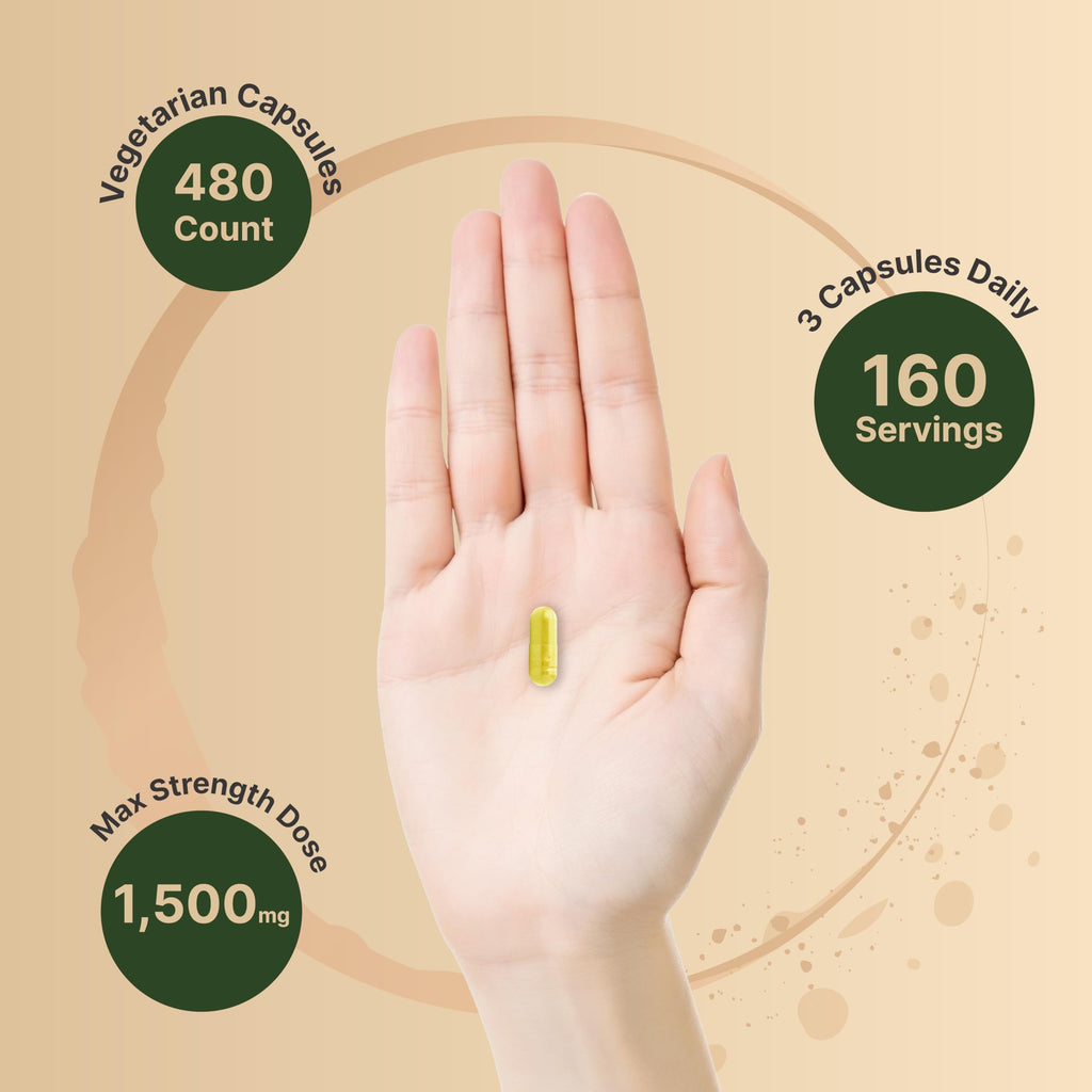 NatureBell Berberine Supplement 1,500mg with Ceylon Cinnamon & Turmeric Root, 480 Veggie Capsules (2 Pack) | 97% Pure Berberine HCL | Supports Balanced Sugar Levels & Heart Health | Vegan, Non-GMO