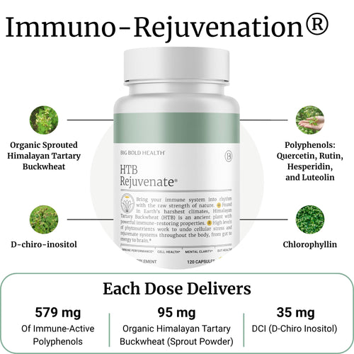 BIG BOLD HEALTH HTB Immune Rejuvenate - Himalayan Tartary Buckwheat - Polyphenols Supplement for Immune Support - Gluten Free, Dairy Free, Non-GMO Formula - 120 Vegetarian Capsules (2 Month Supply)